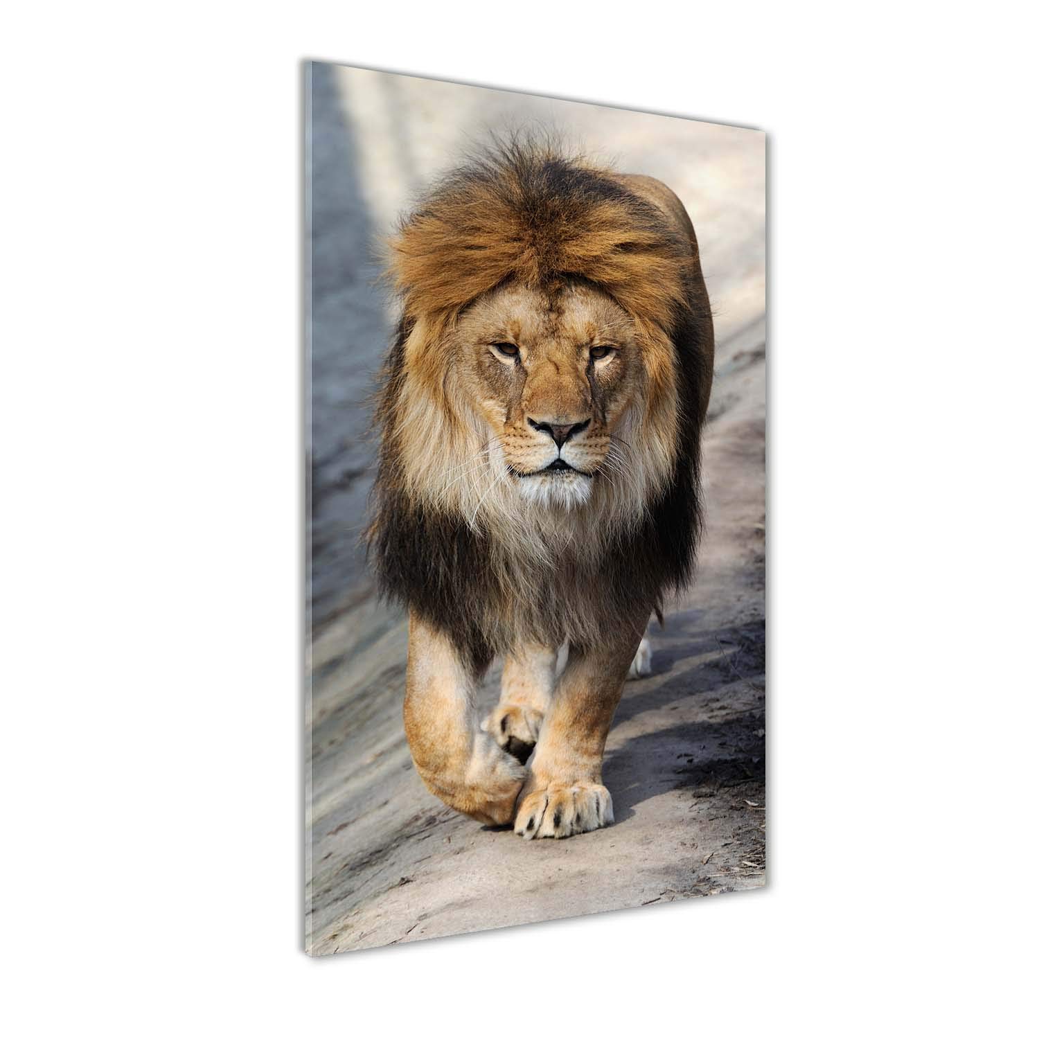 Mural art lion brun tableau pour le mur en verre acrylique Tulup 50x100 cm décoration