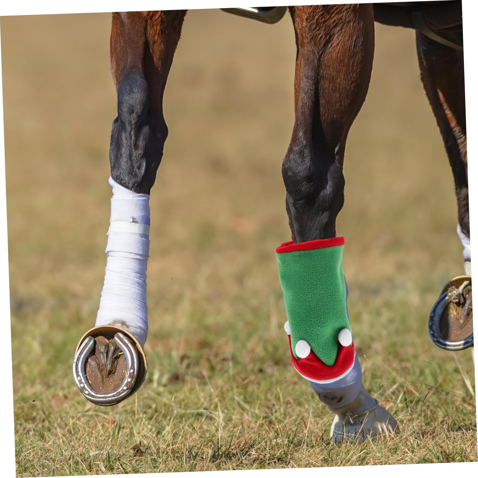 SUPVOX Fasce e Cappello Per Zampe Di Cavallo Natalizie Protezione Per Zampe Di Cavallo Natalizie e Cappello Da Elfo Accessori Per Costumi Natalizi Decorazione Per Feste Di Natale