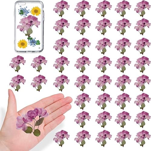 Flores secas moradas para resina, 60 flores naturales de resina, para joyería, velas, tarjetas, jabón, álbumes de recortes, manualidades, decoración