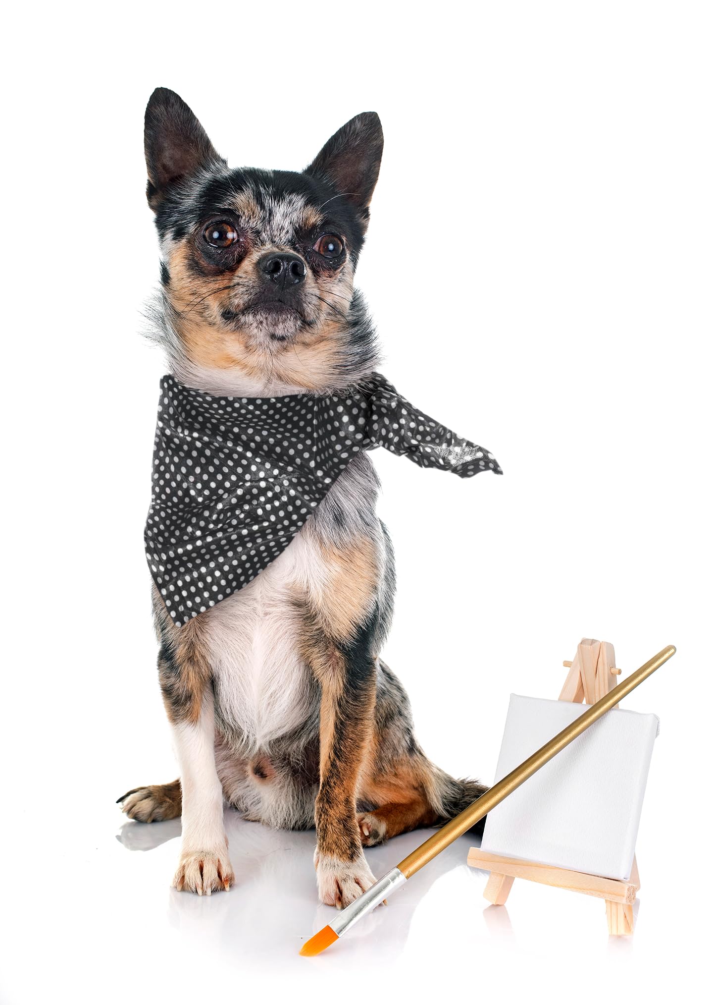 XLarge Summer Dog Bandana – Lightweight Western Dog Scarf Bandana for Boys and Girls, Fits Small to Large Dogs (Black with Polka White Dots)