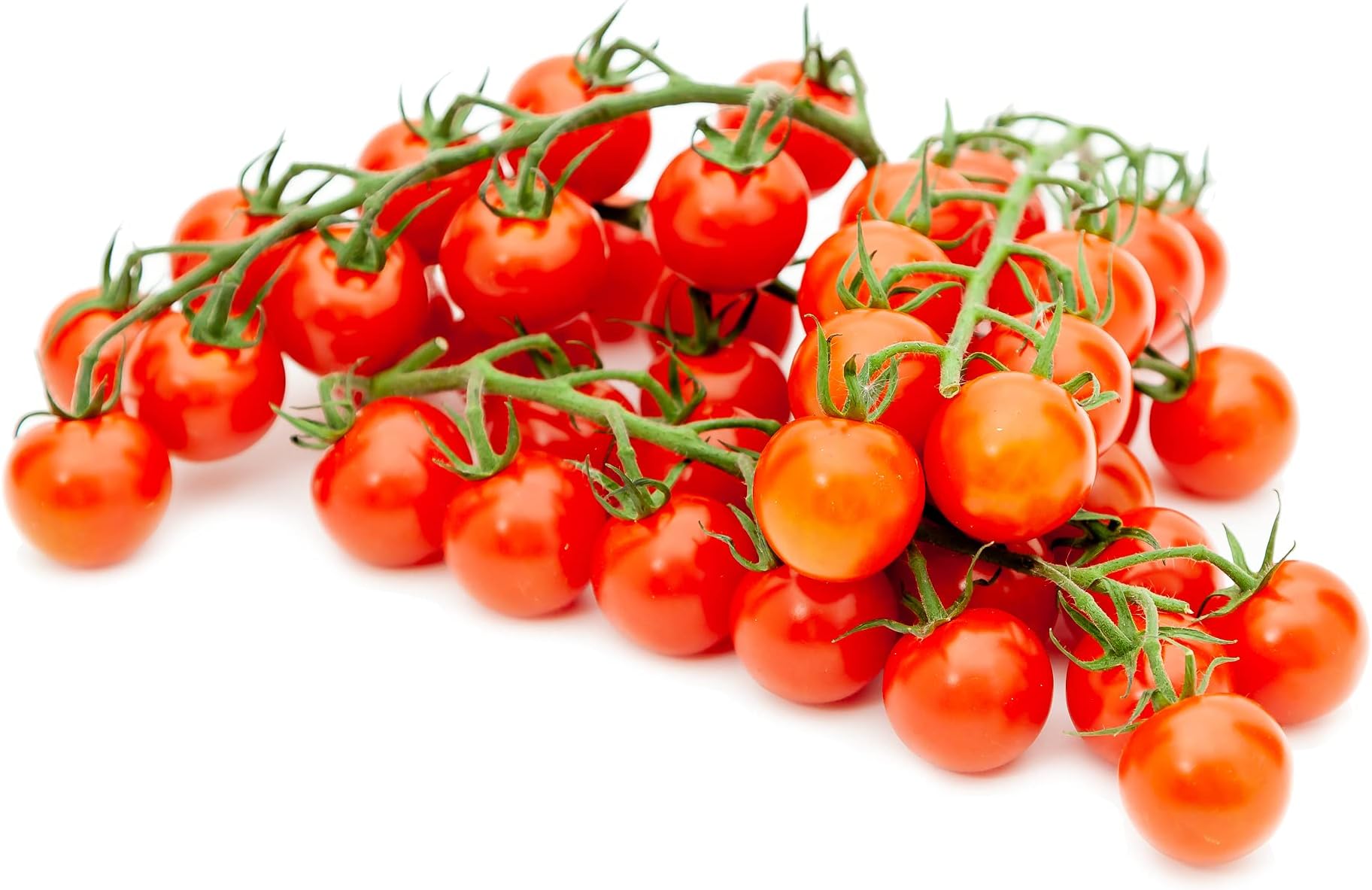Isle of Wight Isle of Wight Piccolo Cherry Vine Tomatoes 400g
