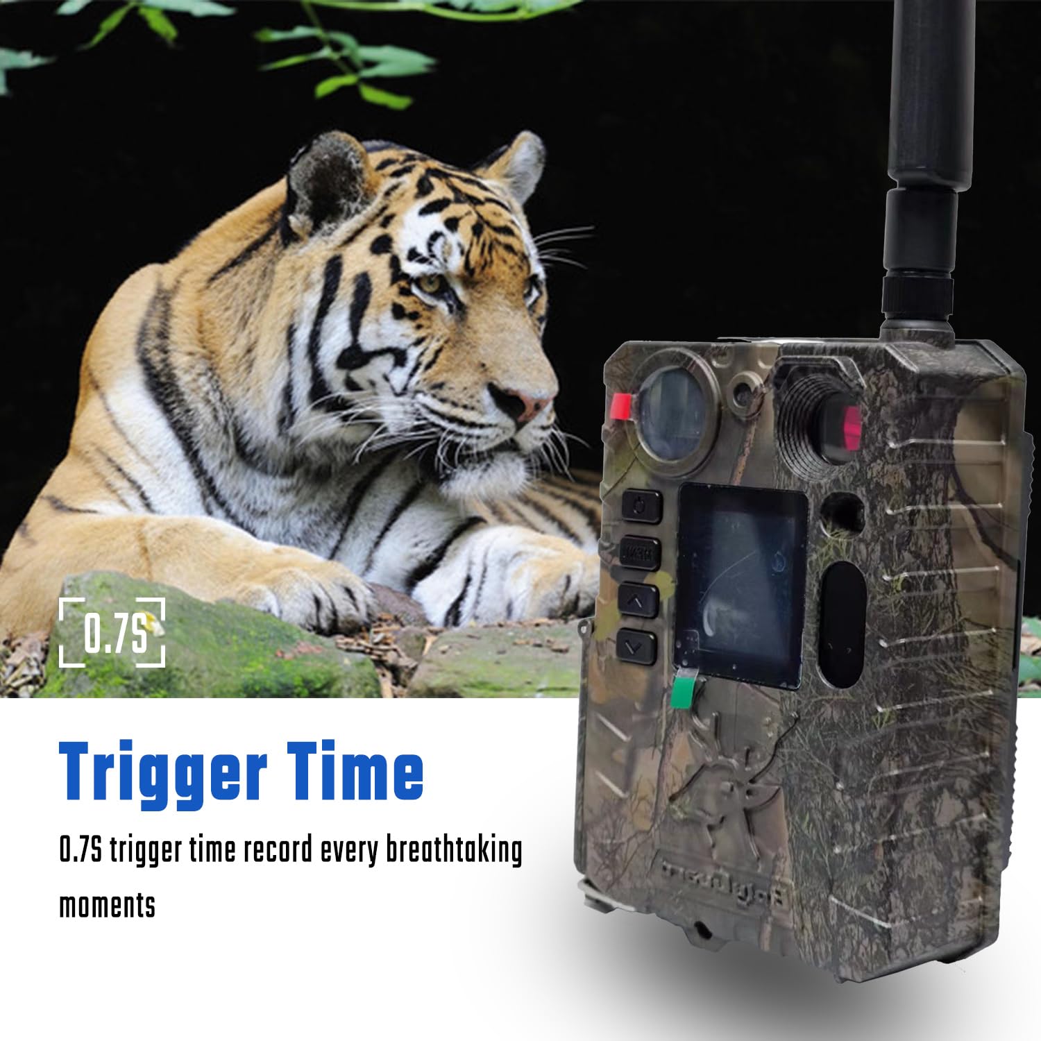 Bolyguard 4G 37MP 4K Cámara Salvaje con Transmisión por Celular, cámara de Caza con visión Nocturna activada por Movimiento, 30 m Visión Nocturna, MMS, GPRS y Correo Electrónico