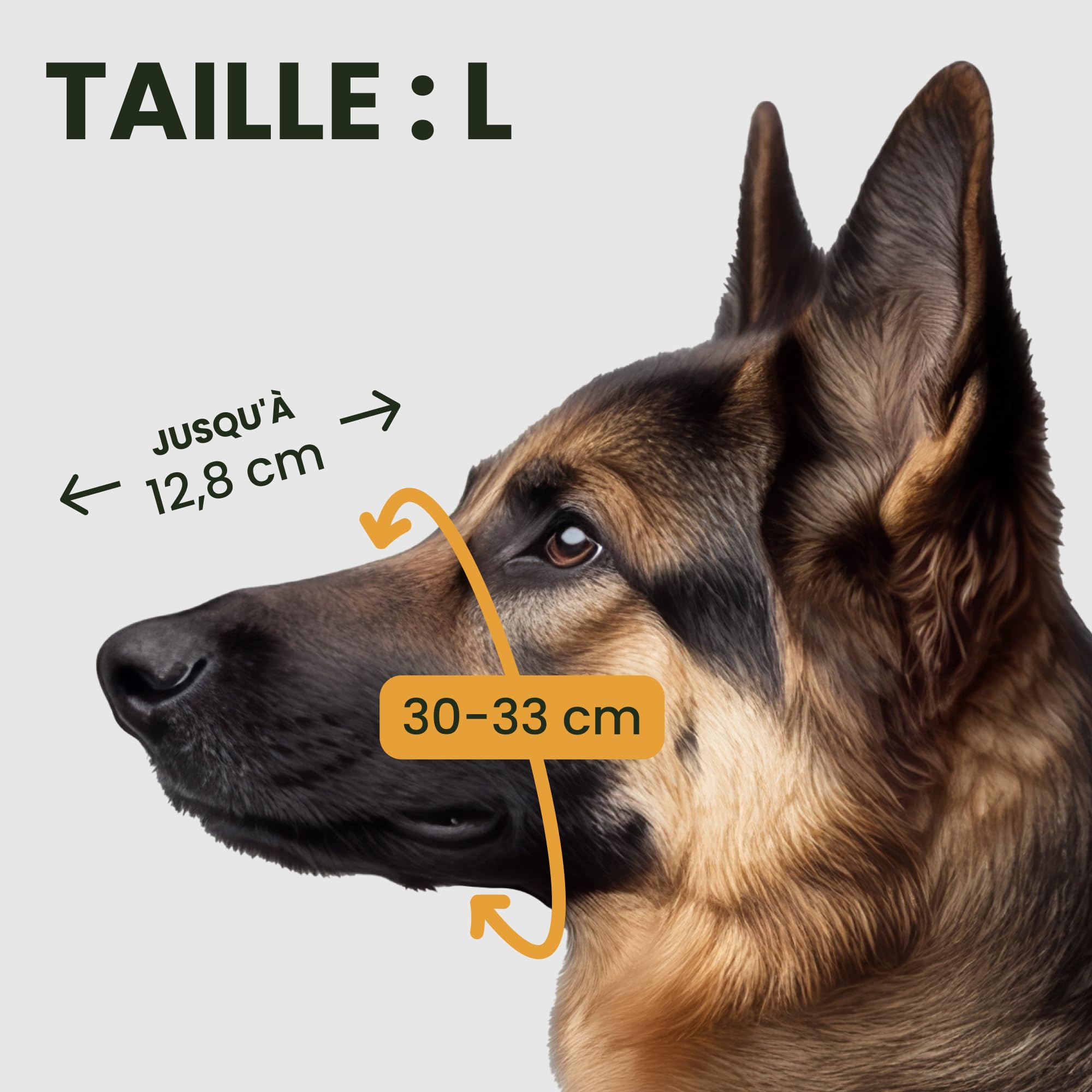 BRONZEDOG Muselière pour Chien en Fil de Fer - Berger Allemand pour Chiens de Taille Moyenne et Grande - Panier en métal Durable pour Mordre, mâcher et aboyer (L)