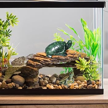 Amazon.co.jp: 翡翠亀像 天然翡翠宝石 かわいい動物の彫刻 長寿