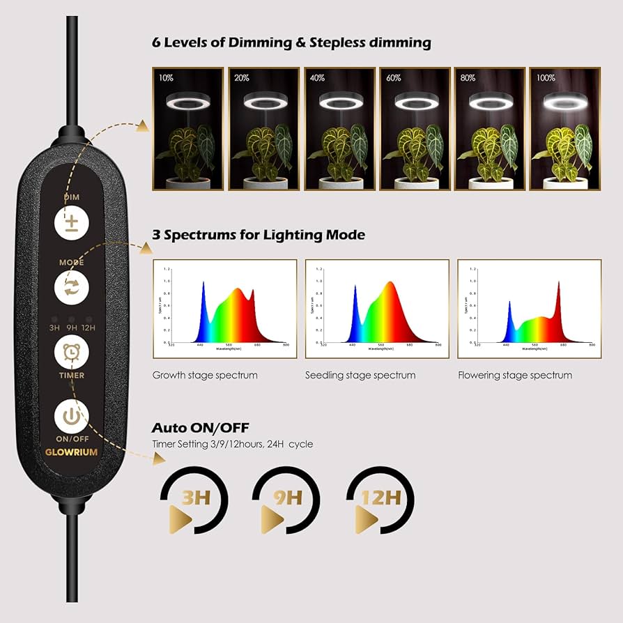 71tpmj488HL._AC_UF894,