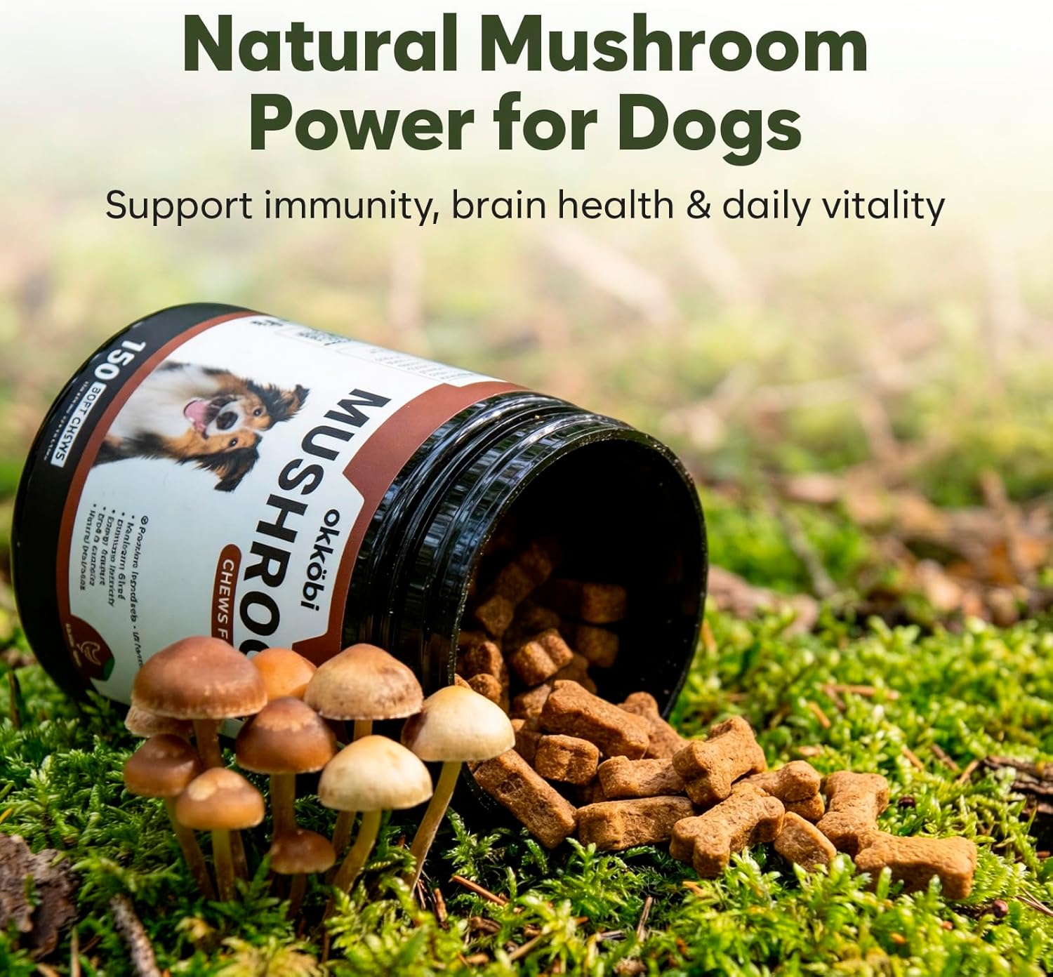 Premium Mushroom Chews for Dogs – 5-in-1 Turkey Tail, Lion’s Mane, Chaga, Reishi & Shiitake – Immune Support & Cognitive Health Mushroom Supplement for Dogs – for Heart, Liver & Brain Function