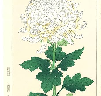 Amazon.co.jp: 河原崎奨堂 (Kawarazaki Shodo) (18991973)木版画