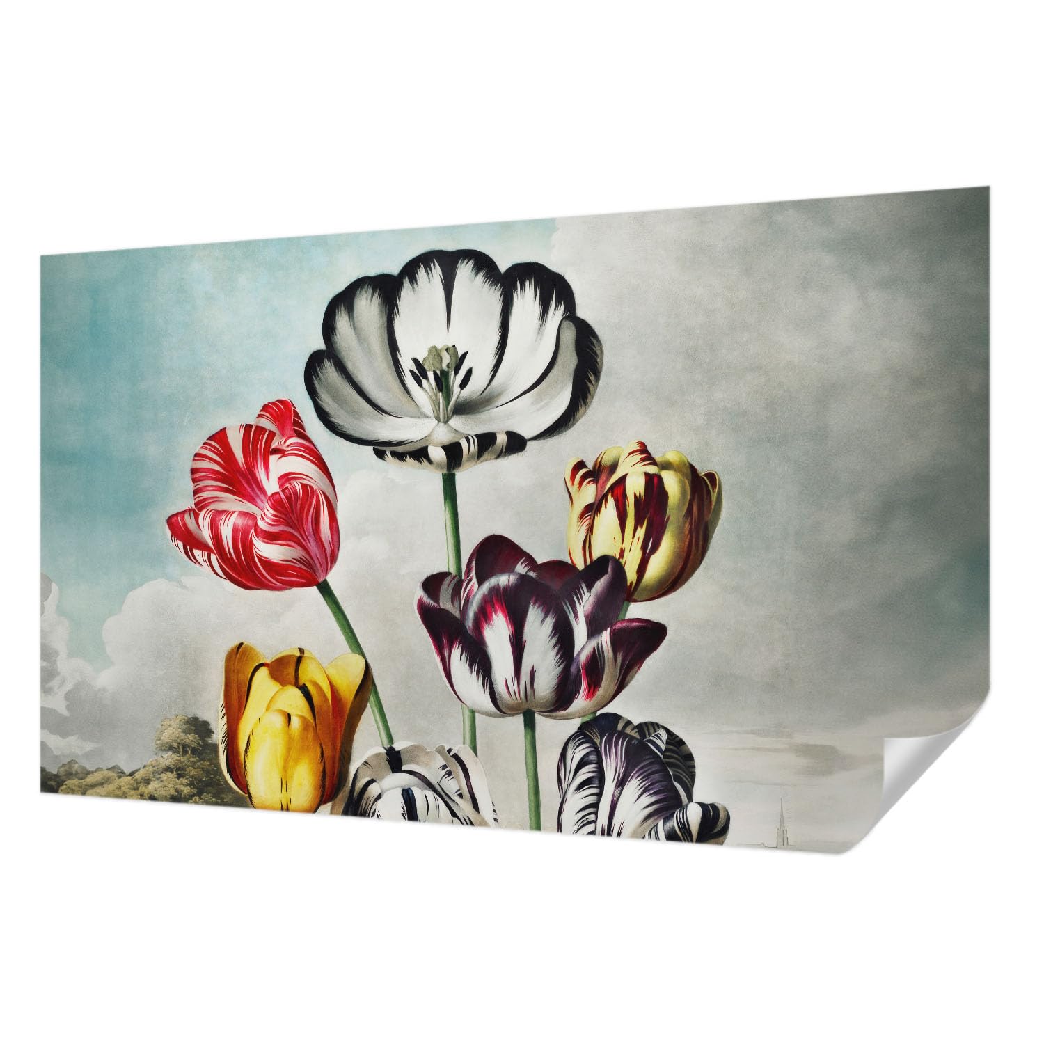 Papier peint adhésif tulipes colorées panoramique 416x254 cm décor mural salon