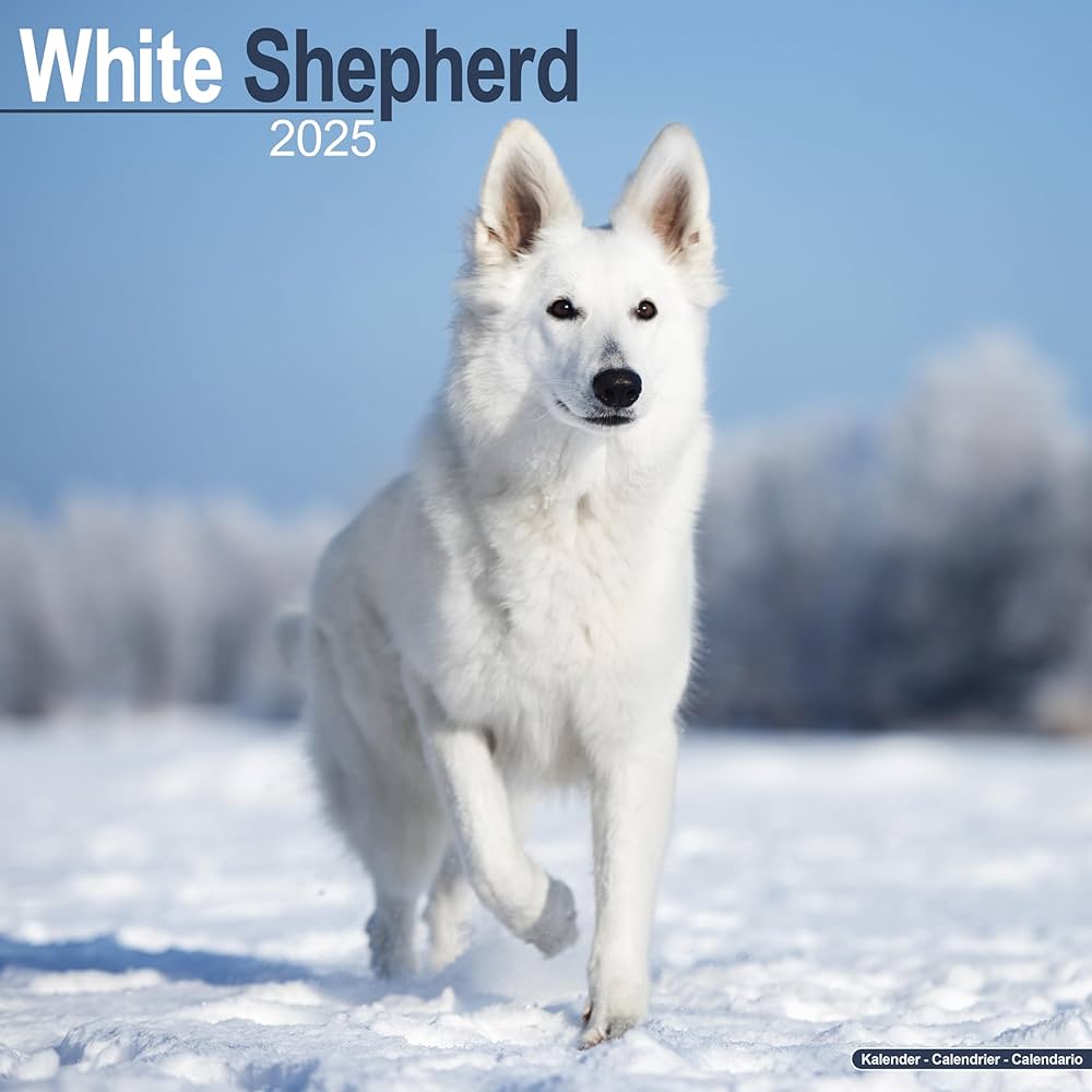 Dog Calendario 2025 Riva Verine