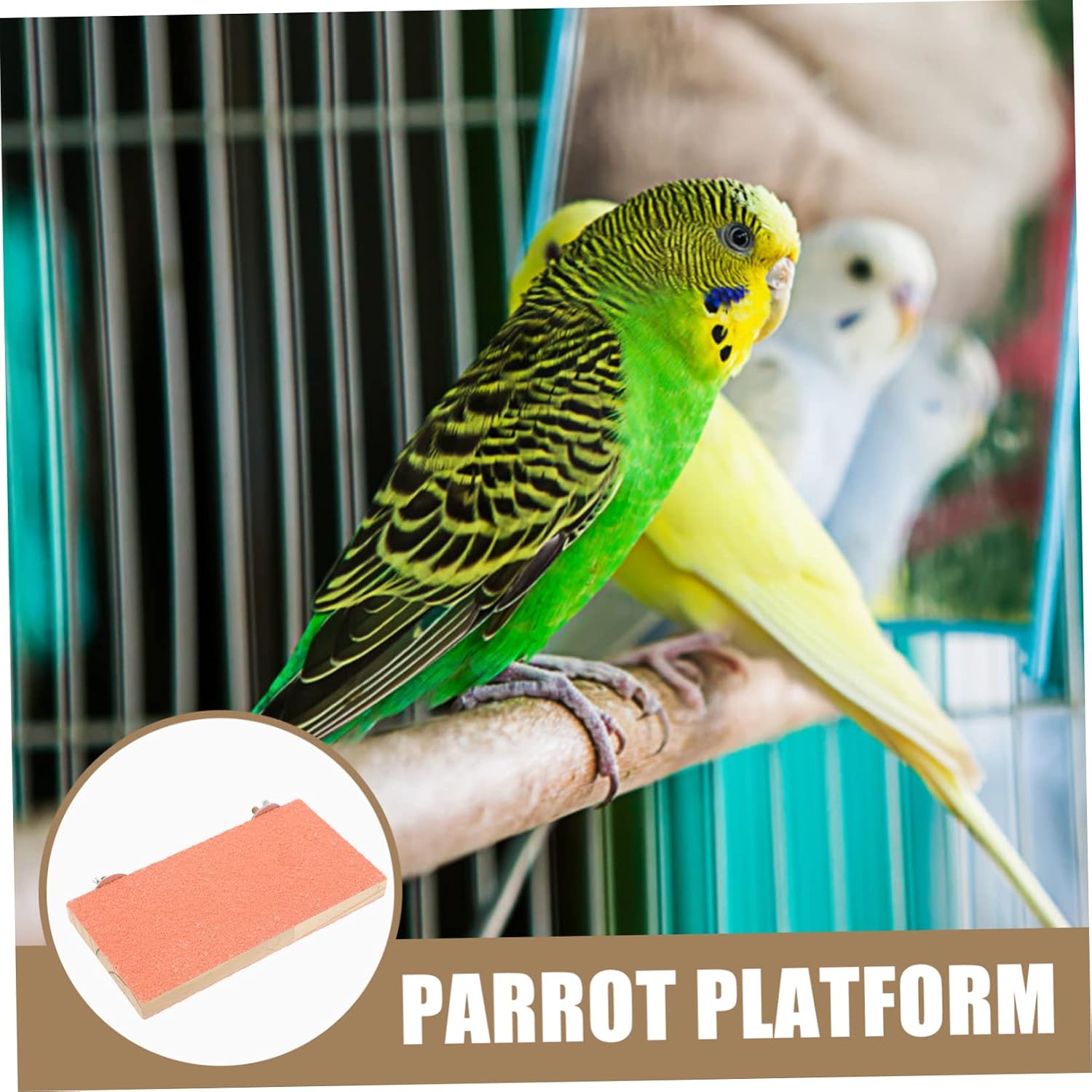 BESPORTBLE 2pcs Wooden Parrot Perch Platforms Easy to Install Rectangular Bird Stands for Parakeets Chew-Friendly Bird Cage Accessories Selection