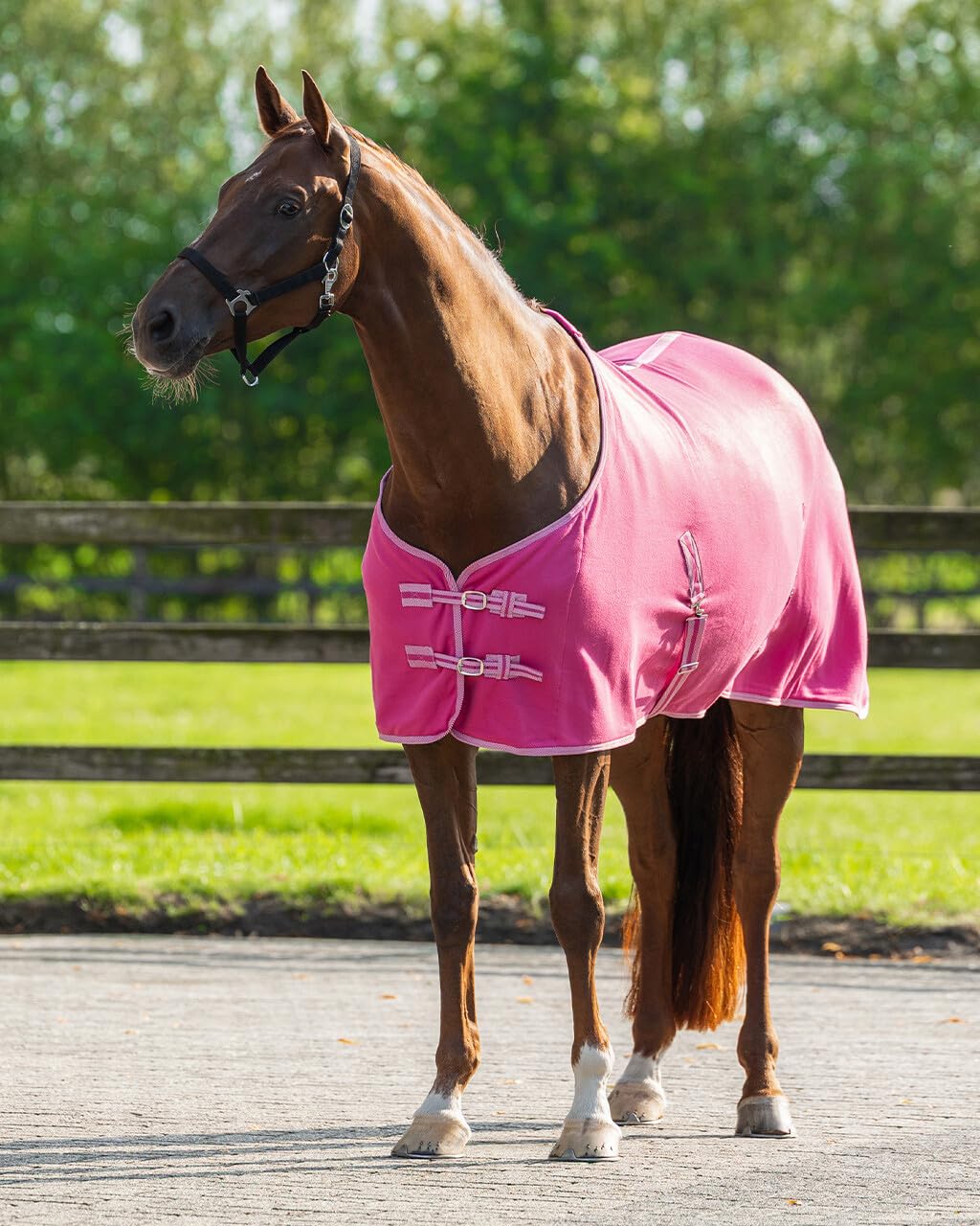 netproshop Basic Pferde Abschwitzdecke mit Kreuzbegurtung Fleece Qualität Gr. 105-155, Groesse:105, Farbe:Pink