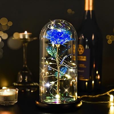 Une rose éternelle sous cloche lumineuse