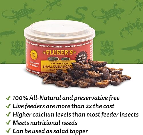 Miniatura 15 de Fluker's Alimento enlatado gourmet para reptiles, peces, pájaros y animales pequeños, cucarachas Dubia, 1.2 oz