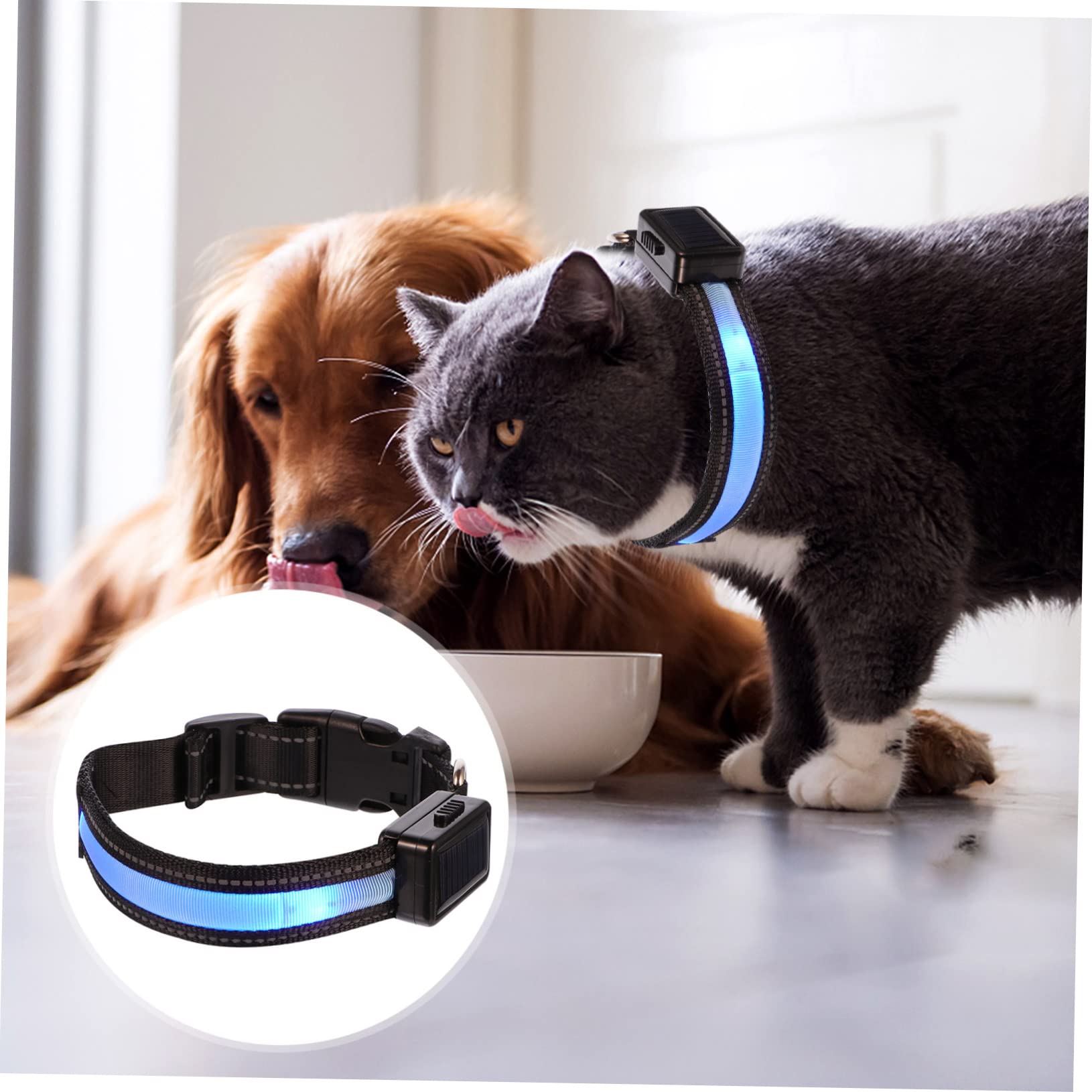 Beavorty 3ensembles Collier LED Lumineux pour Chiens Collier De Sécurité Rechargeable USB pour Animaux De Compagnie
