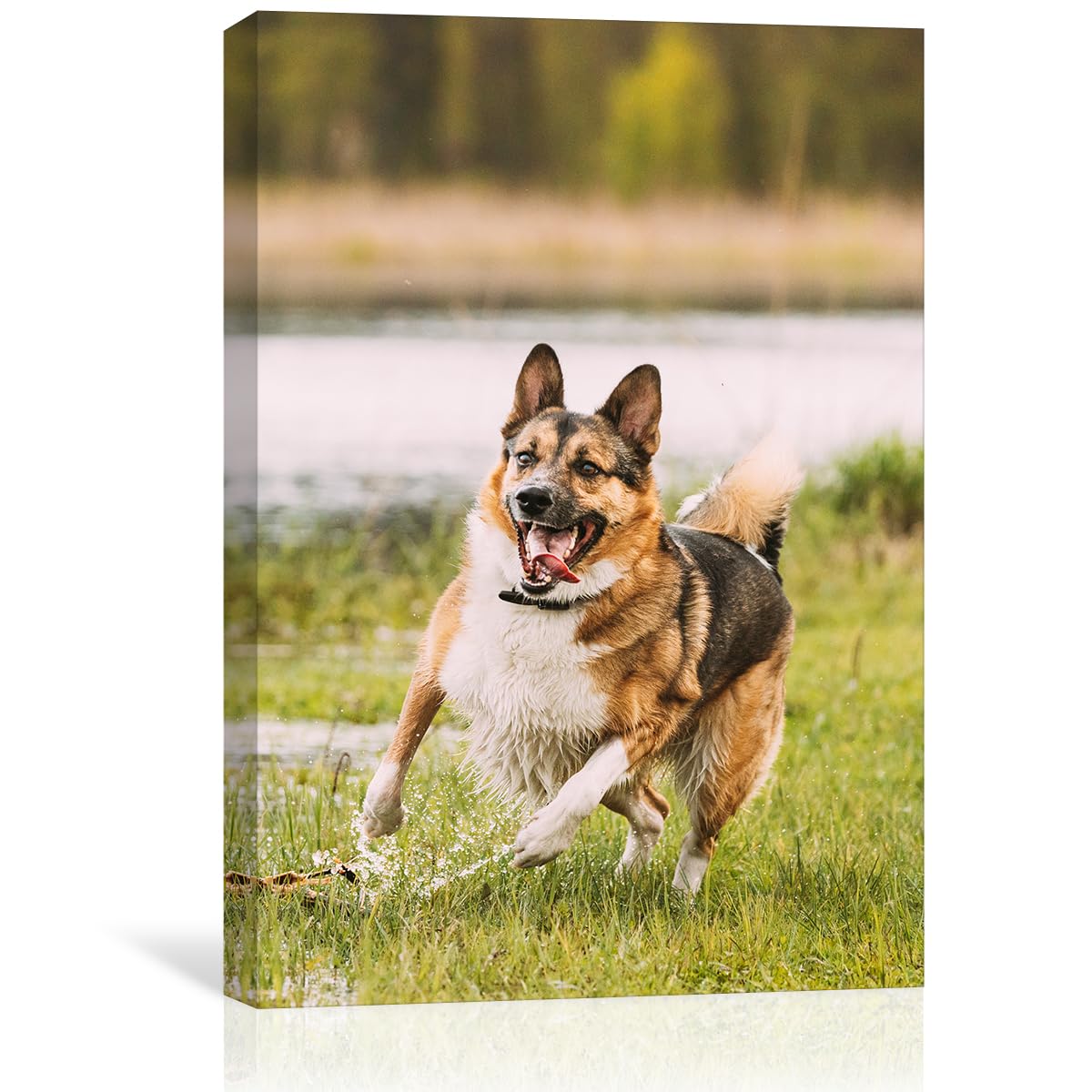 GMissT Canvas Prints With Your Photos - Personalized Pictures On Canvas Custom Poster for Home Decor - Floating Frames & Gift Wrapping Available