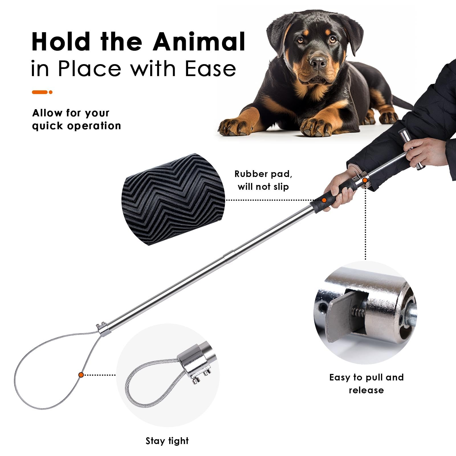 8-Quart Digital Air Fryer