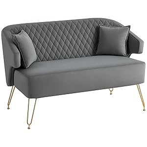 HOMCOM Sofá de 2 Plazas Tapizado en Terciopelo Sofá de Salón con 2 Almohadas Reposabrazos y Patas de Acero Doradas Sofá Pequeño Carga 240 kg para Dormitorio Oficina 124x69x76 cm Gris