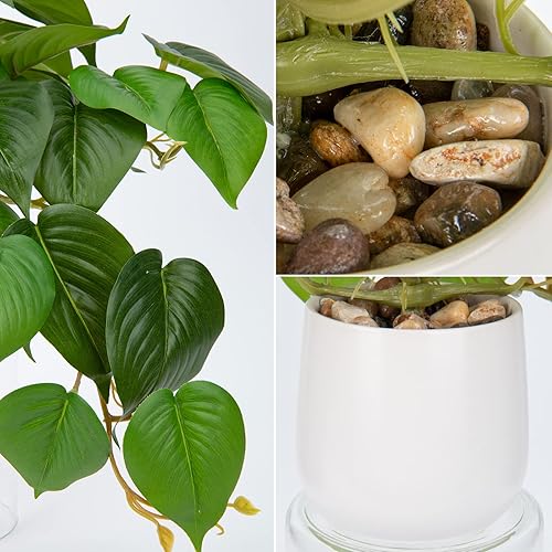 Miniatura 3 de DILATATA Plantas falsas de interior de 8 pulgadas en maceta de cerámica blanca, planta de potos falsos en maceta para decoración estética del hogar,