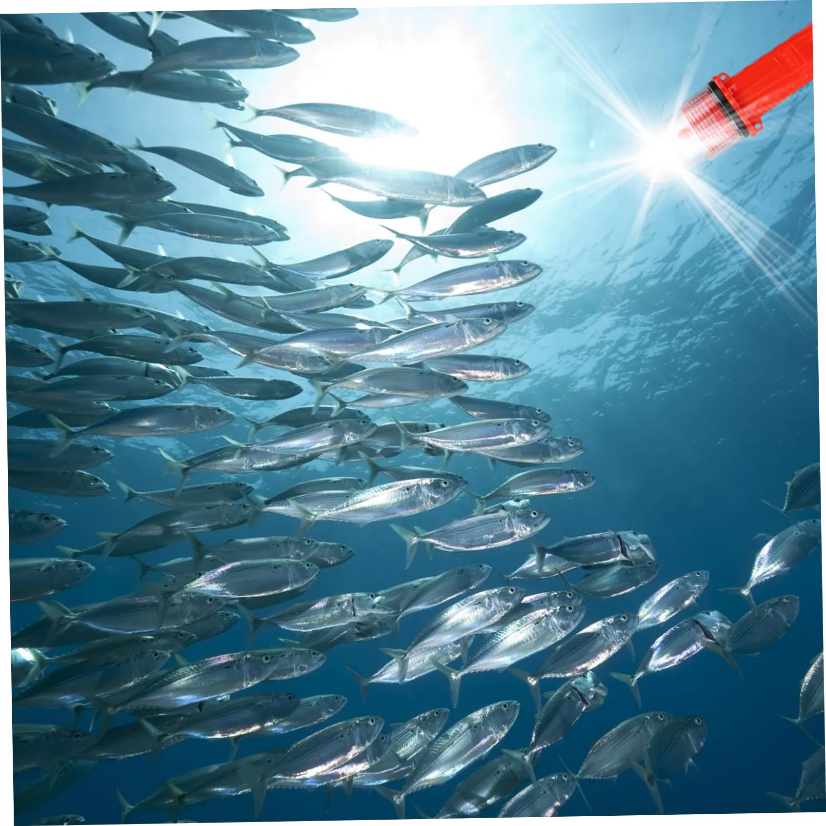 3 Pezzi di Razzi Barca Coste di Guardia Approvati marittimi Approvati di segnali di Emergenza Impermeabili per reti da Pesca, Boe e Barche, Rosso