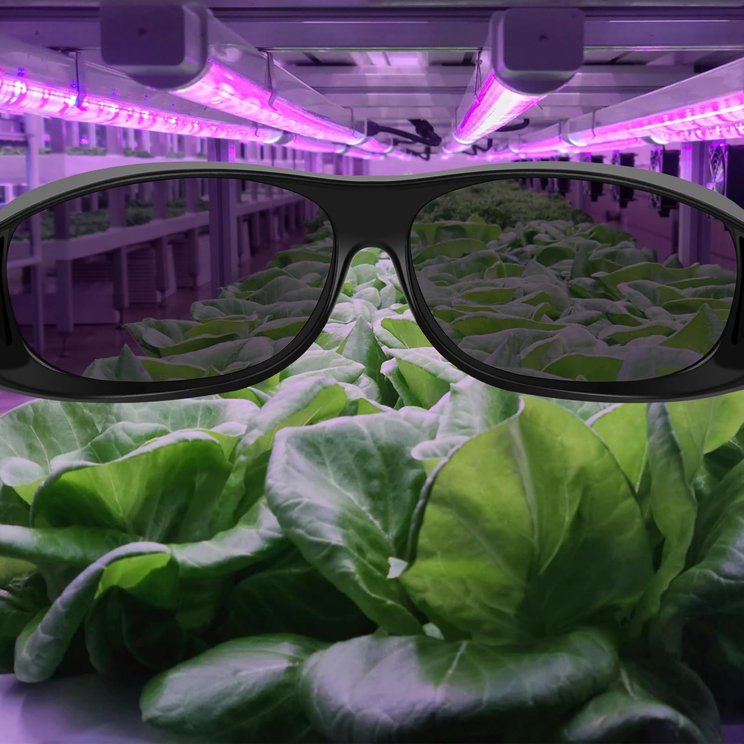 Hydroponic Indoor Grow Room Glasses (4-Pack), HPS MH LED Grow Light Glasses for Eye Protection in Greenhouse & Grow Tent