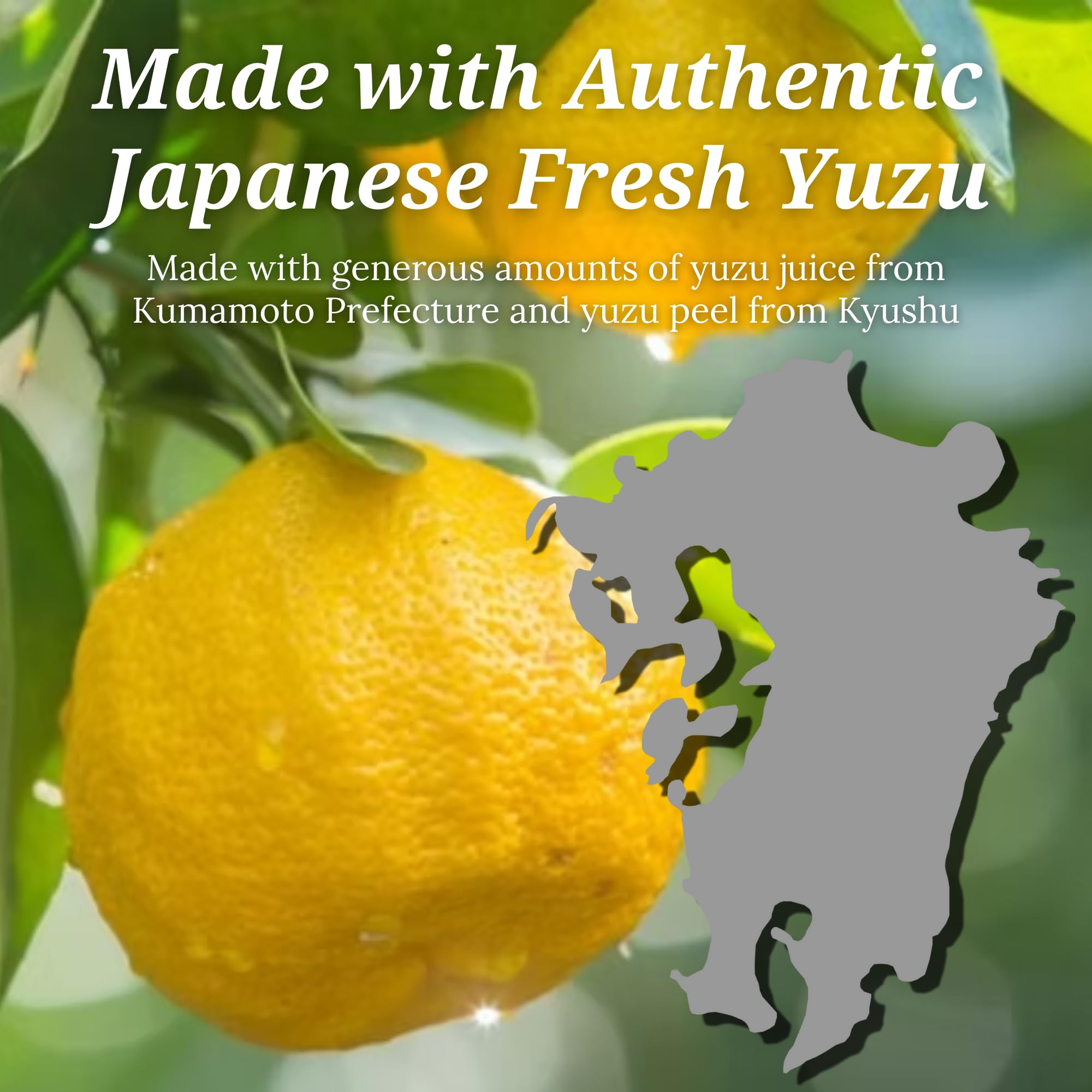 Amazon.com : EX Yuzu Ponzu with Clear Soy Sauce by Fundodai