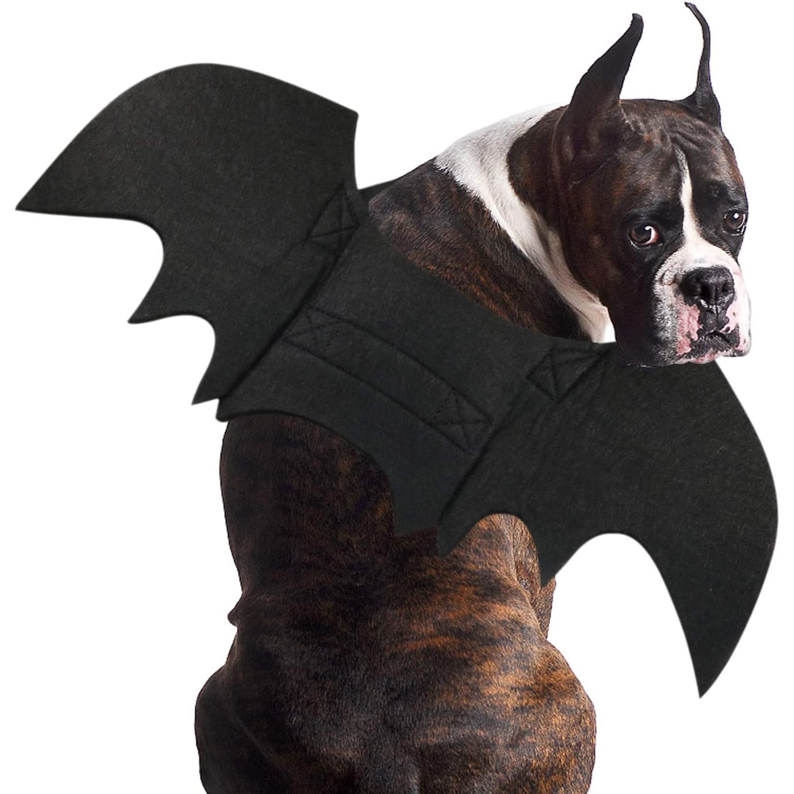 RANYPET Disfraces de Halloween para Mascotas - Disfraces de Halloween para Mascotas, Disfraz de Mascota de Halloween Cosplay de alas de murciélago Disfraz de Perro para Fiesta
