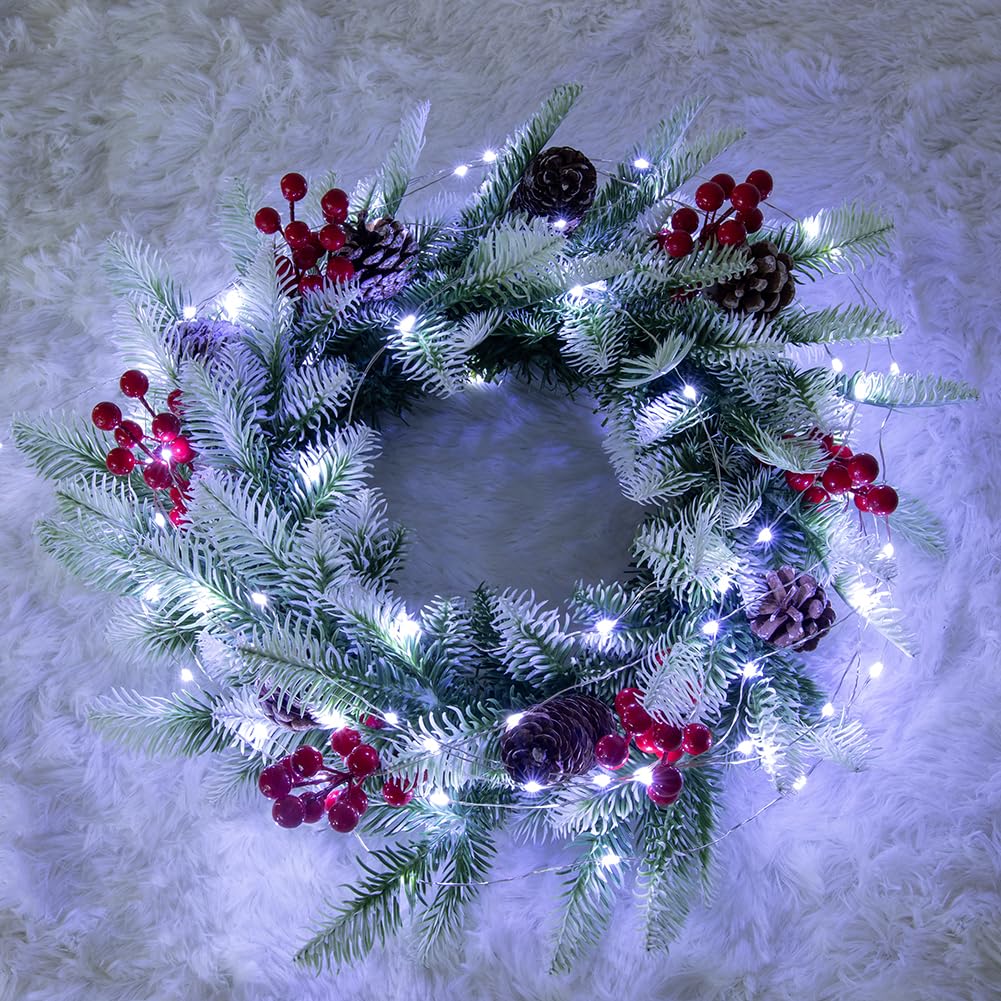 Catena Luminosa Bianca Fredda da 30m, LED a Spina su Filo d'Argento con 300 LED, 8 Modalità per Matrimonio, Interni ed Esterni, Albero di Natale, Patio, Portico e Decorazione da Giardino