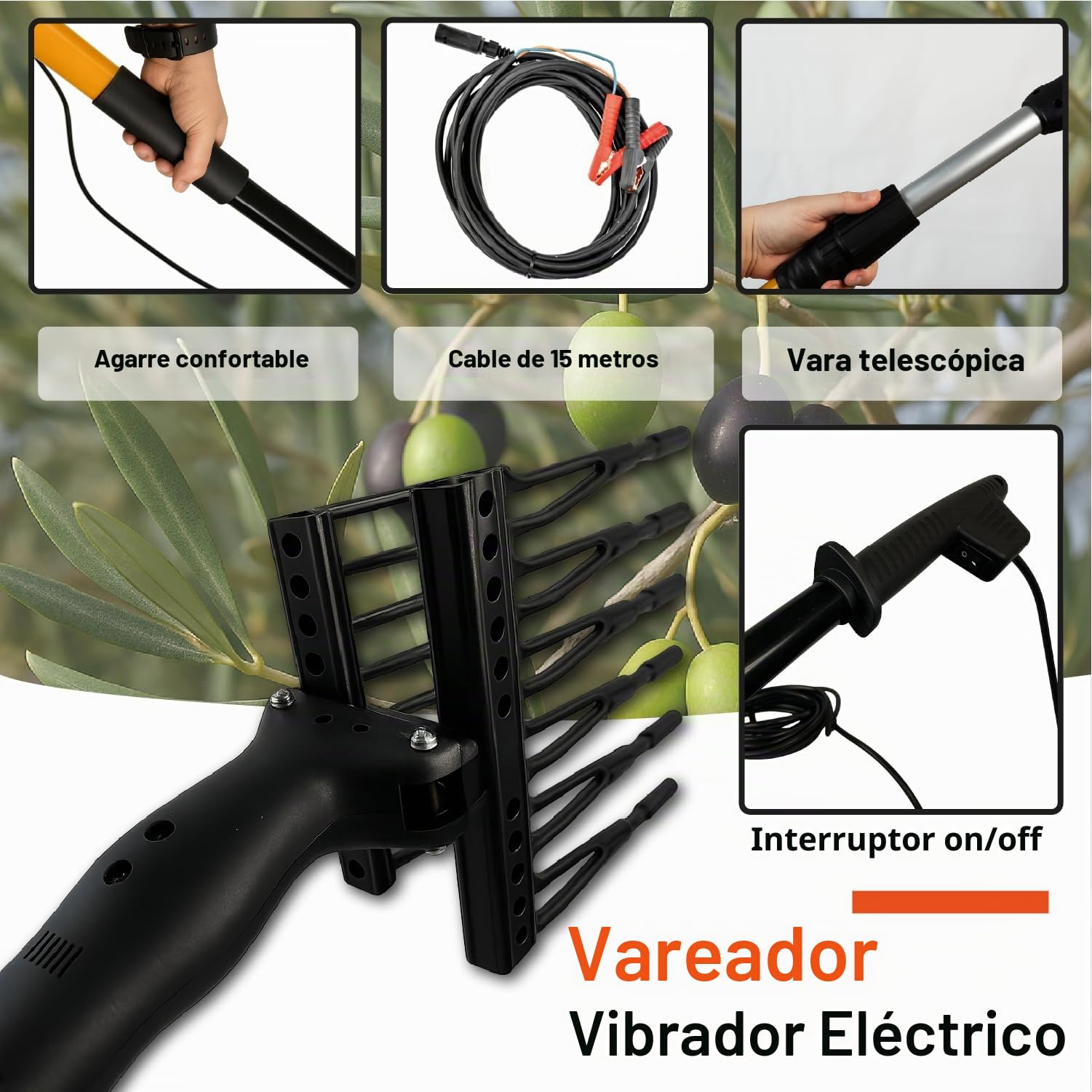 Crisalide® - Vareador para aceitunas, recoge aceitunas profesional con peines de tecnopolímero - Alta productividad y delicadeza sobre las plantas, barra telescópica y cable de 15 m, tensión 12 V