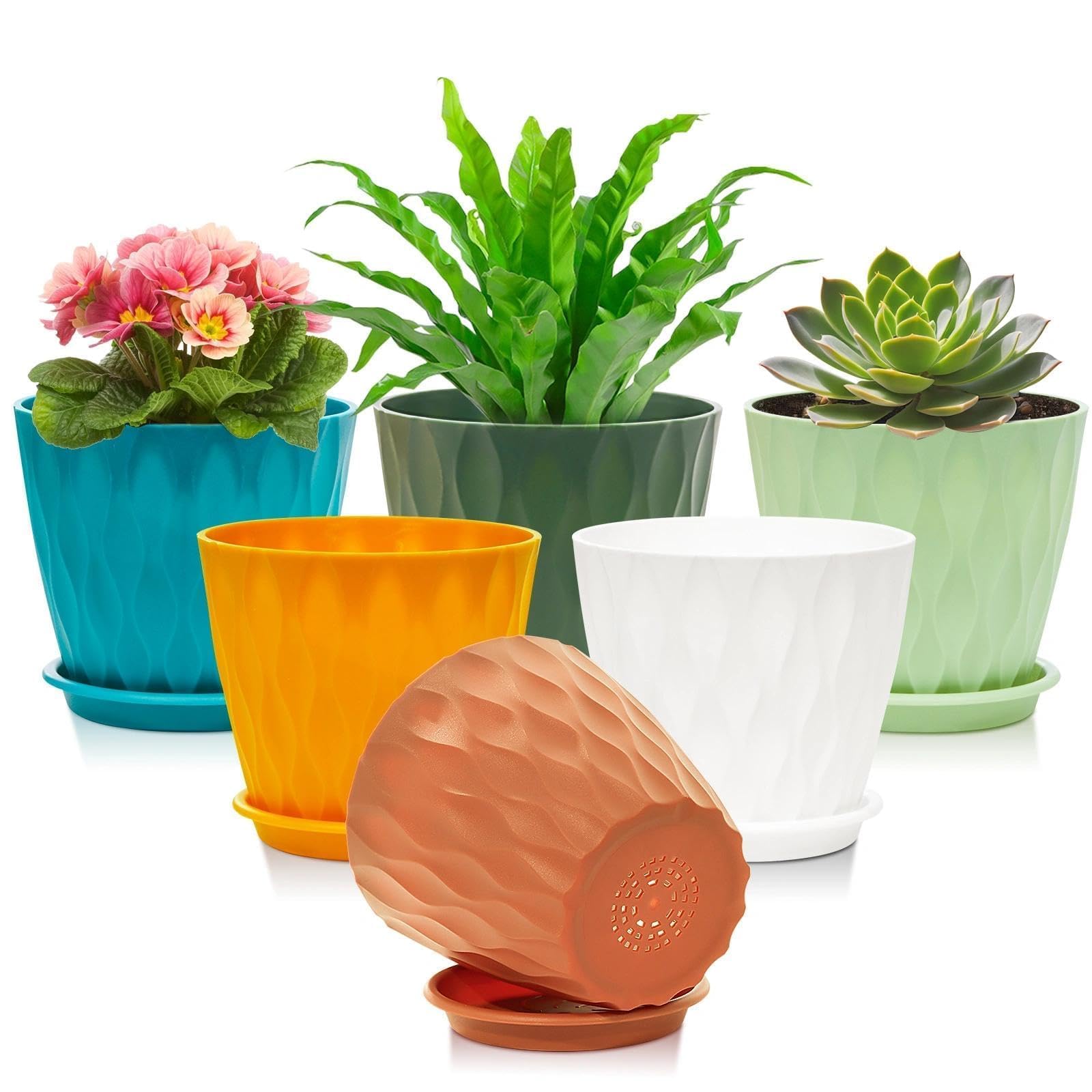 Omtofo Maceteros Decorativos Interior de Plástico 15.4 cm con Plato, 6 Piezas Maceta Redonda con Orificios de Drenaje, Macetas Plastico para Interior y Balcón, Suculentas y Cactus - 2