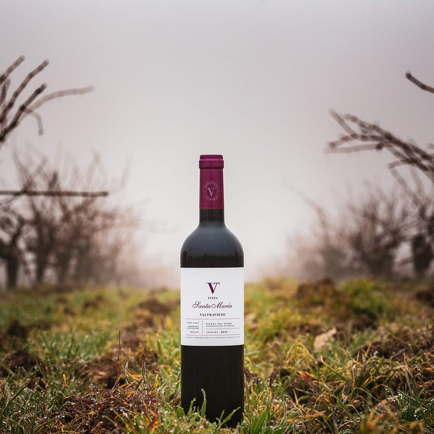 Valtravieso Caja Vino Tinto Ribera del Duero - Finca Santa Maria Roble Denominación de Origen/Tinto Fino (98%), Cabernet Sauvignon & Merlot (2%)| Pack Lote Regalo de 6 Botellasx750ml