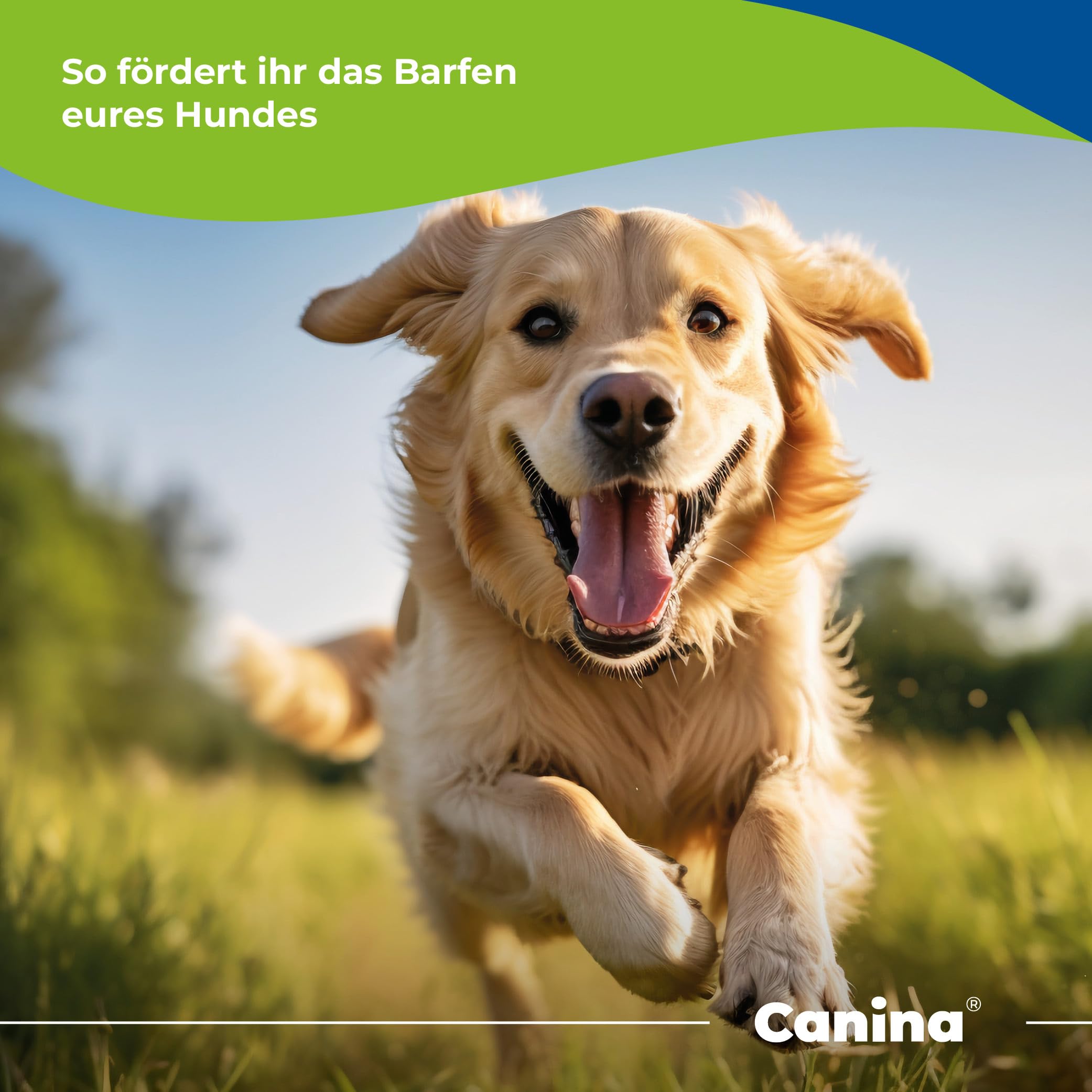 Canina Pharma Barfer's Best Junior, 850 g