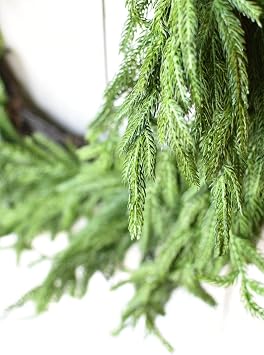 Afloral Real Touch Norfolk Pine Wreath - 24