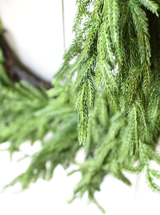 Afloral Real Touch Norfolk Pine Wreath - 24