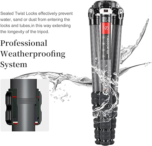 Miniatura 4 de SUNWAYFOTO Trípode de fibra T3650CM para cámara de video, fotografía, peso al aire libre, impermeable, carga de 55.0 libras