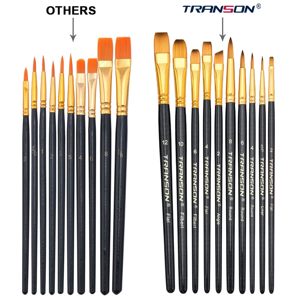 Transon Set Di 20 Pennelli Per Pittura - Assortiti In Bianco E Nero, Per Acrilico, Acquerello, Gouache, Tempera, Ideali Per Artisti Principianti E Professionisti, Pittura Su Tela E Roccia