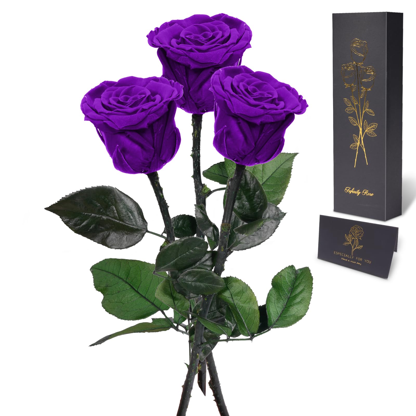 Yamonic Rosa Eterna Regalos para Mujer, Rosa Preservada con Tallo Regalo Dia de la Madre Regalo Cumpleaños Mujer, Flores Preservadas Regalos Madre, Rosa Eterna Natural Preservada Regalo San Valentín — view 23