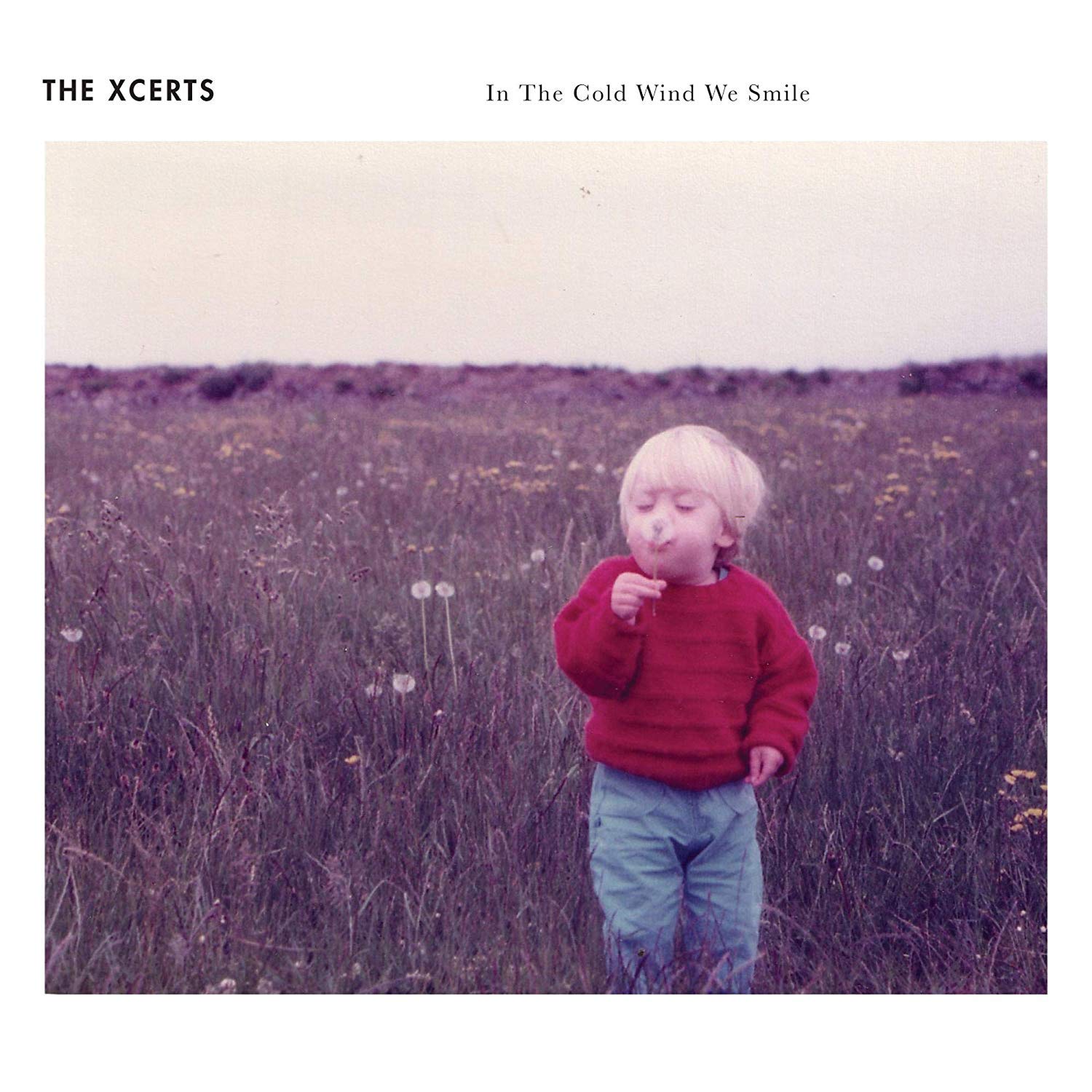 In The Cold Wind We Smile [VINYL]