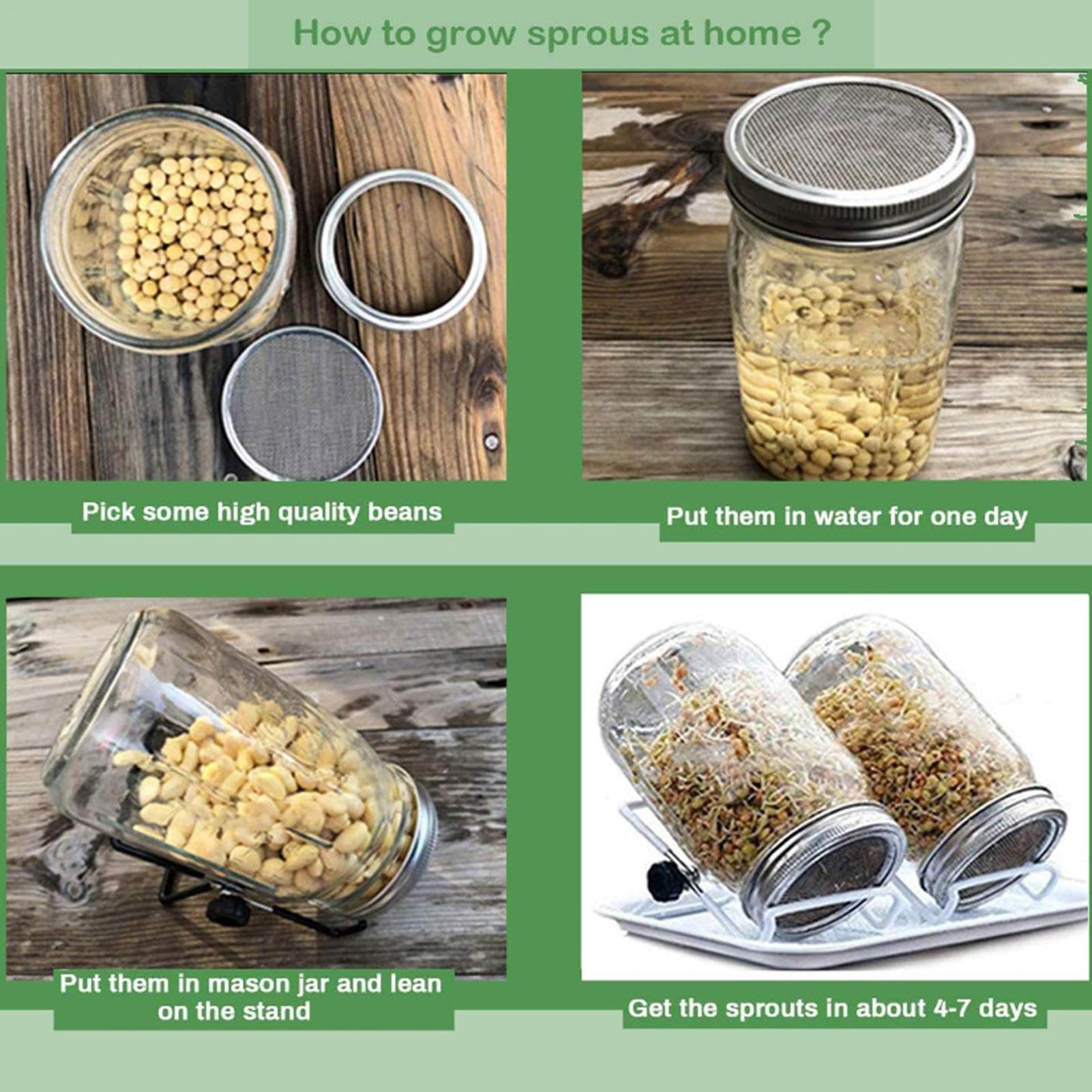 Couvercles de germination de pots – Couvercles de germination de