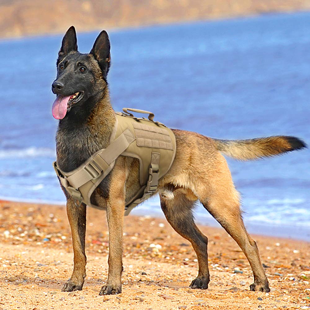 arnés para Perros, Arnés for Perros, Chaleco for de Entrenamiento for medianos y Grandes(Black,B)