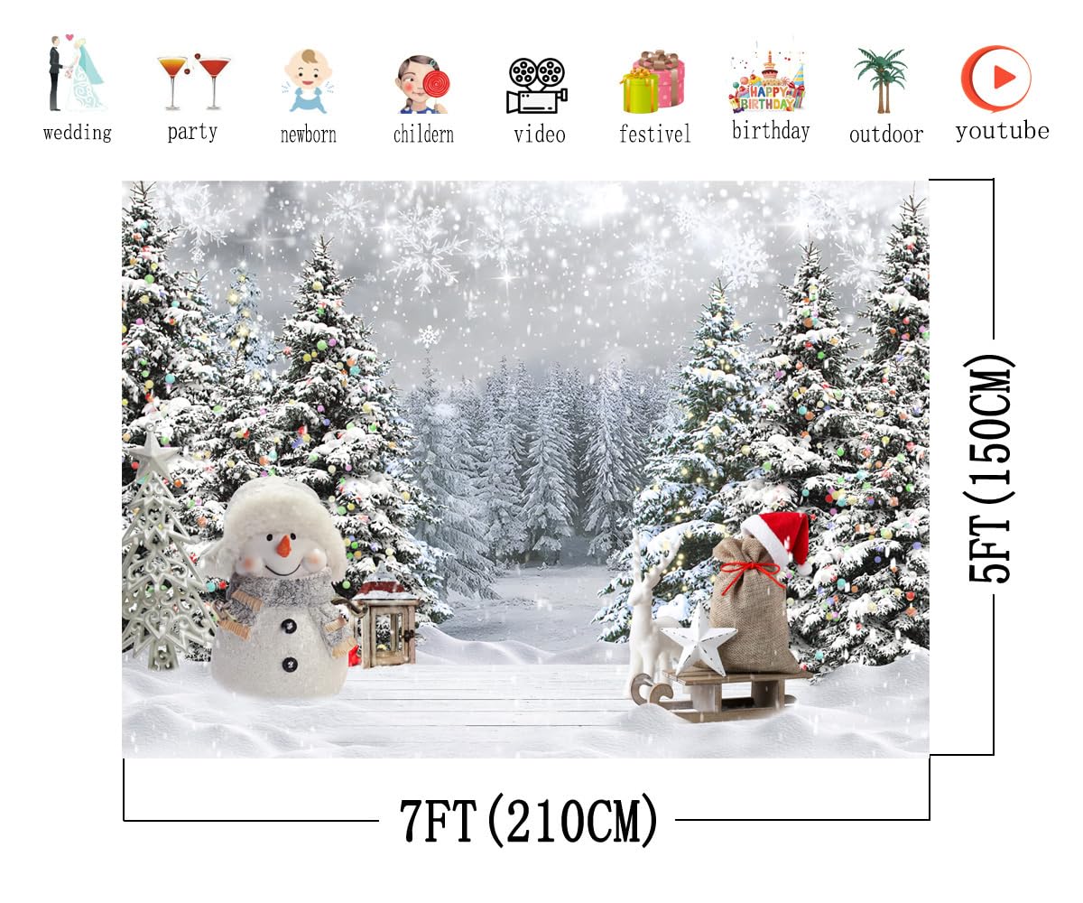 Photographie Sur Le Thème Beau Grandir Cornouiller De Baies Sur Fond