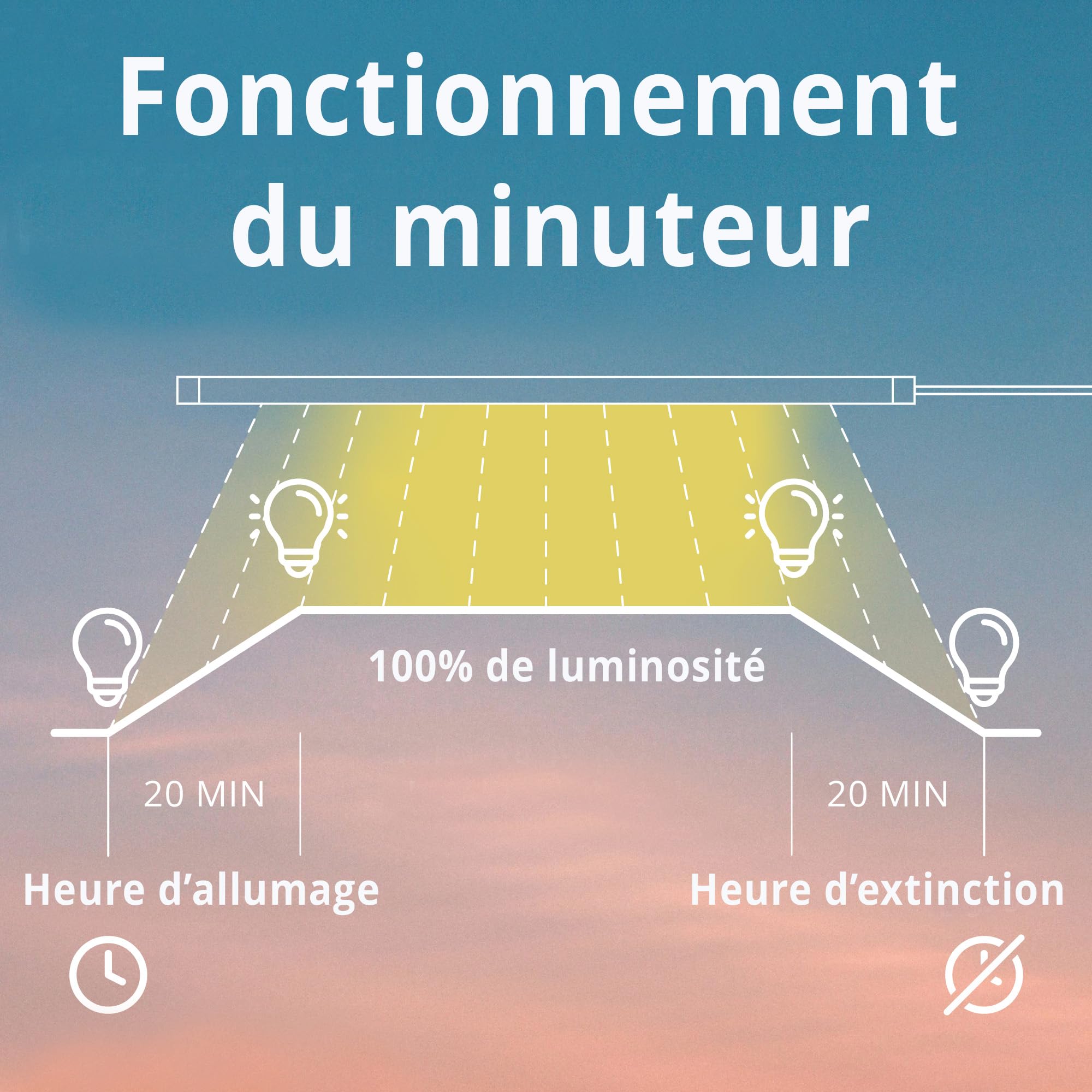 HappyBird Minuteur numérique | Minuteur programmable, fonction gradation progressive | Spécialement conçu pour les lampes à oiseaux | Régulation de la lumière particulièrement douce | Simule le lever