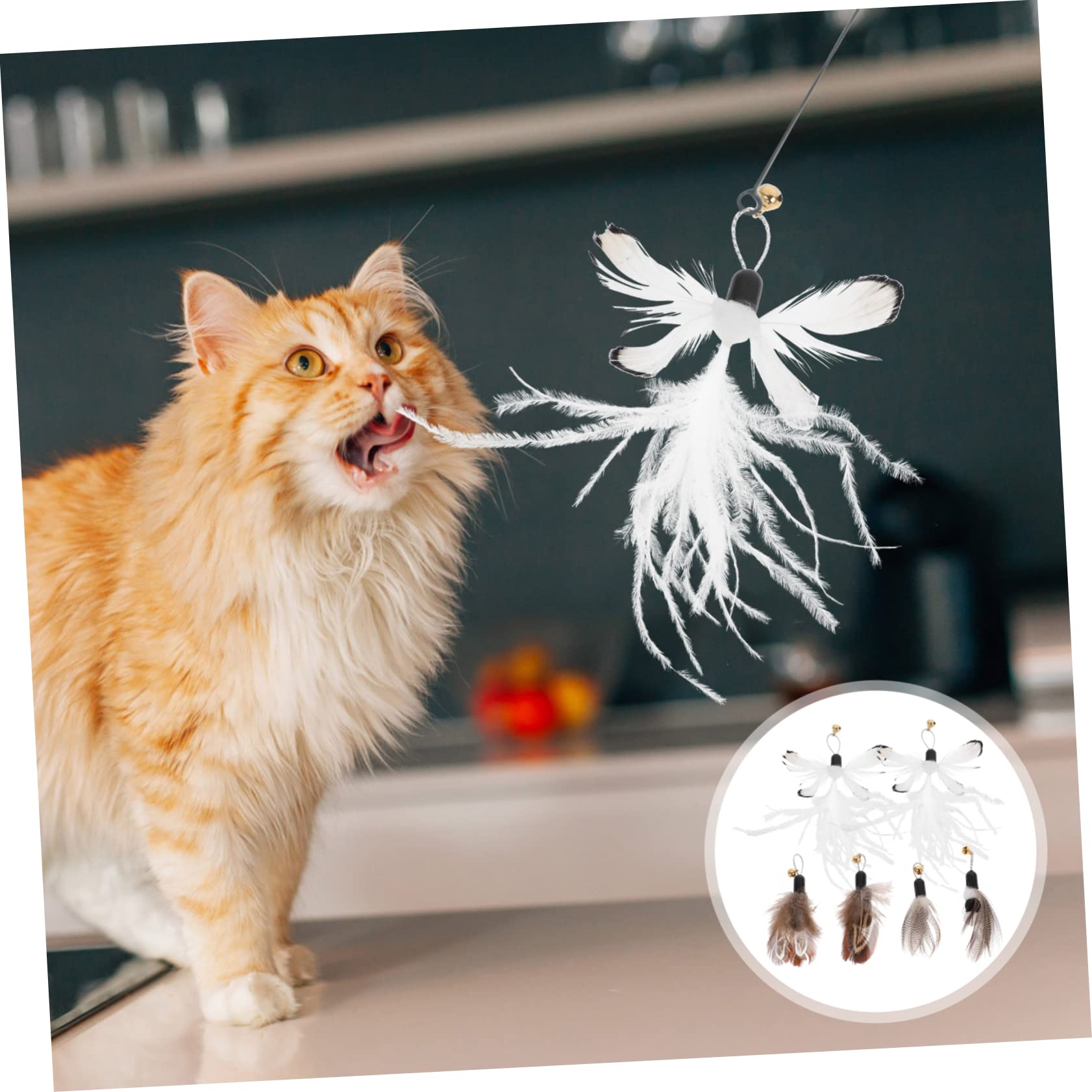 Yardwe 30stücke Katzenspielzeug Mit Ersatzköpfen Interaktive Katzenangel Mit Federn Und Insekten Fördert Die Und Interaktivität Für Drinnen