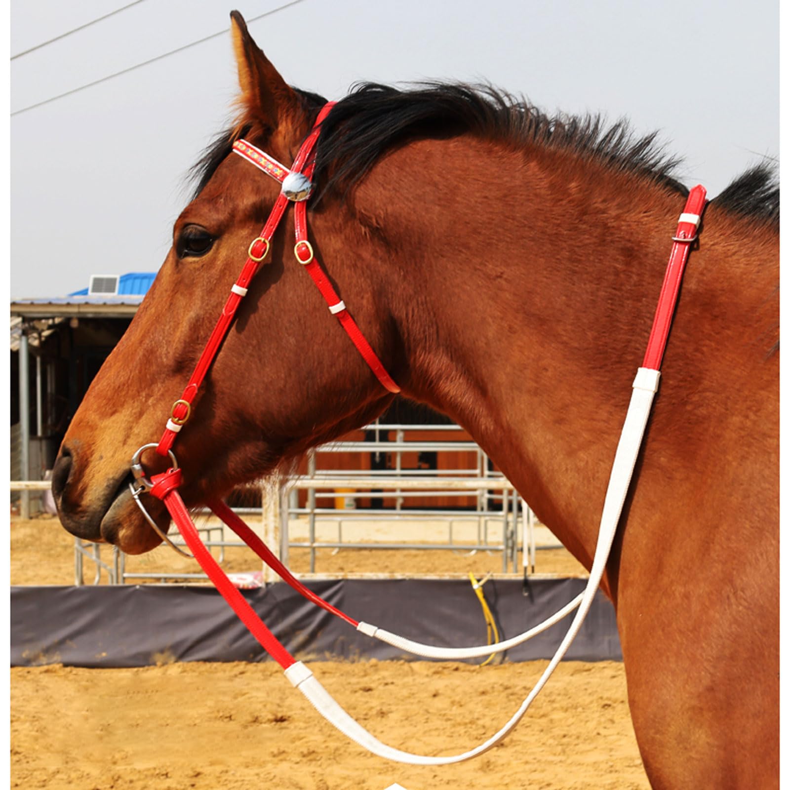 Cabeza de jaula de nylon pesada ajustable, Cabecera Anatómica de Potro Multicolor L Hierro Ajustable for Entrenamiento Manejo Diario(Burgundy)