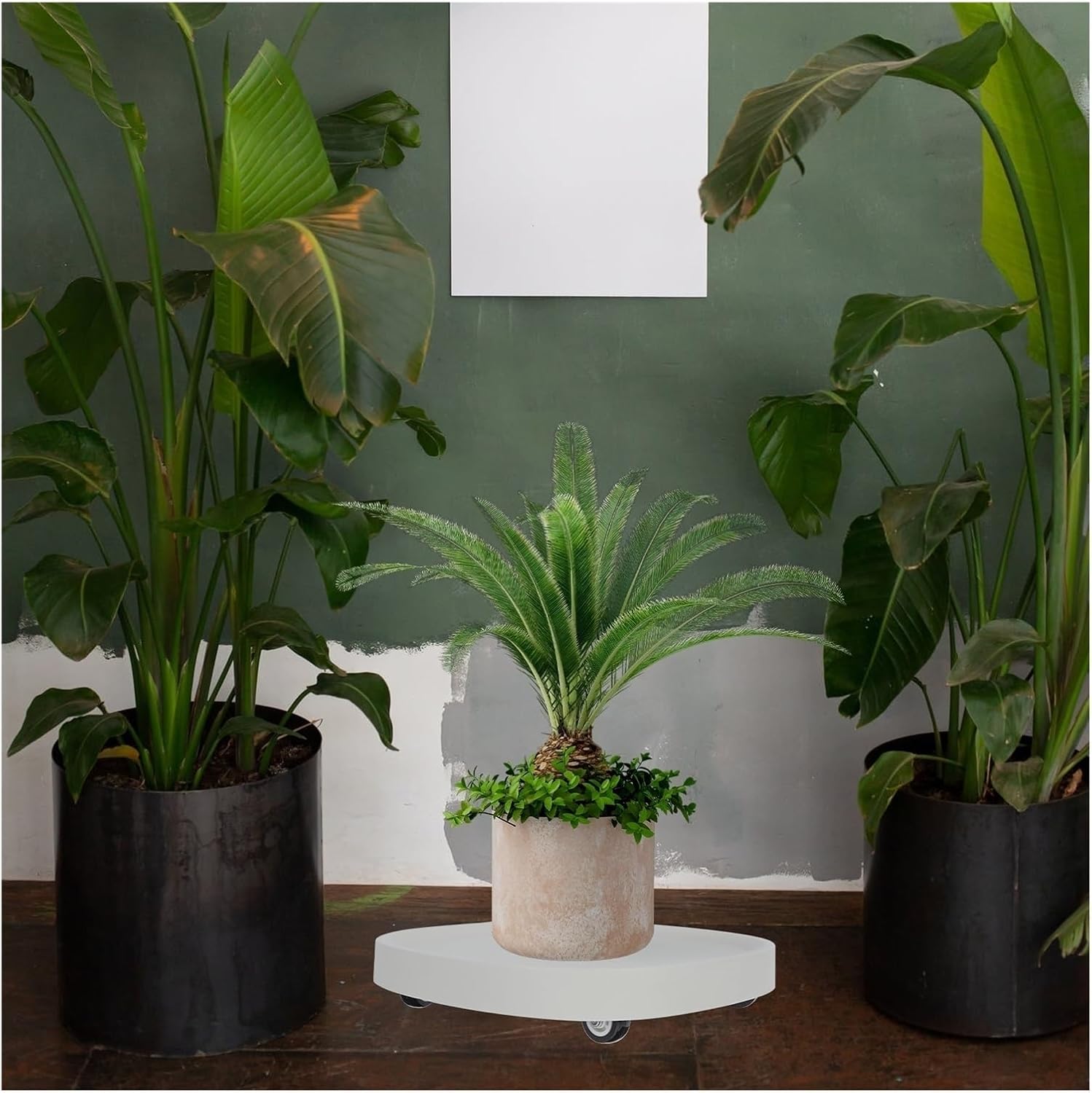 Flower Tray, Indoor Movable Universal Wheel Plant Tray Plastic Flower Base,Planter Trays