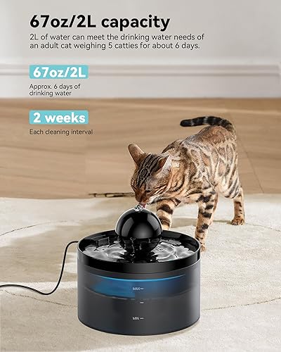 Miniatura 4 de Fuente de agua para gatos fuente para gatos de 67 oz2 L con bola, fuente de agua súper silenciosa para mascotas, fuente para gatos con filtro para