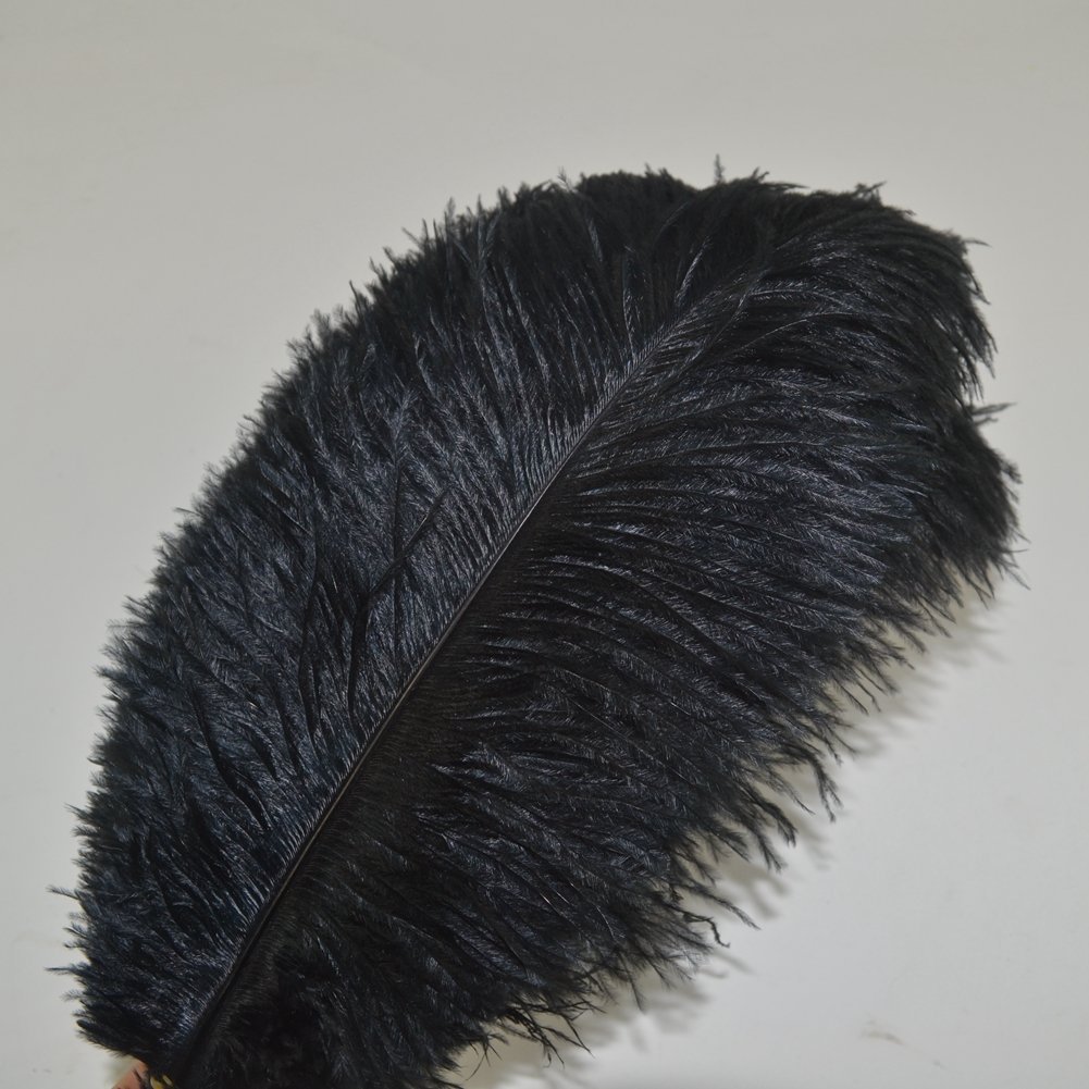 KOLIGHT® 50pcs 10''~12''(25~30cm) Natural Ostrich Feathers for DIY Home Wedding Party Office Decoration (Black)