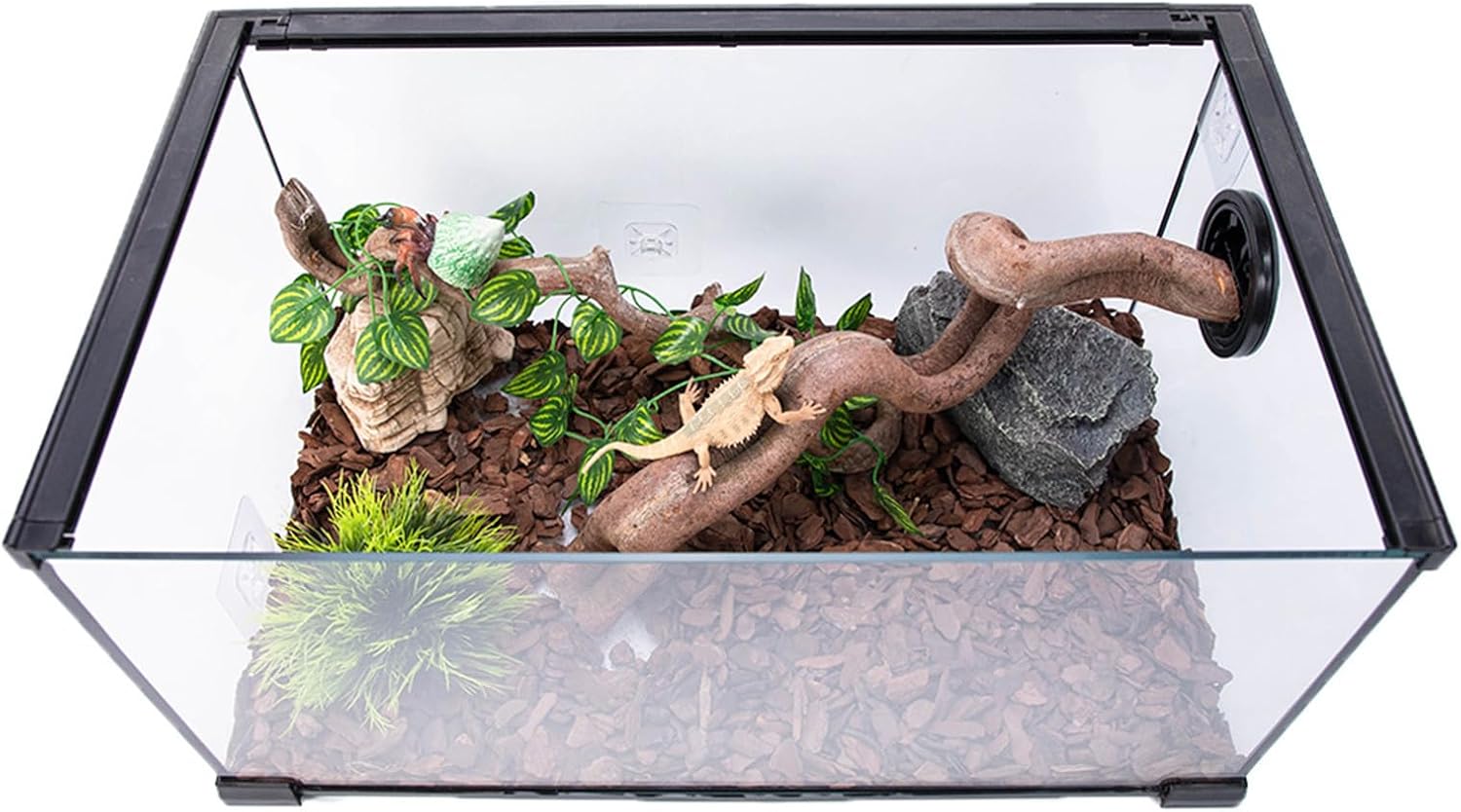 Reptiles Habitats Decoration Terrariums Natural Rattan Climbing Branch Resting Shelter Vine for Snake Bearded Dragon Reptiles Terrariums Decors