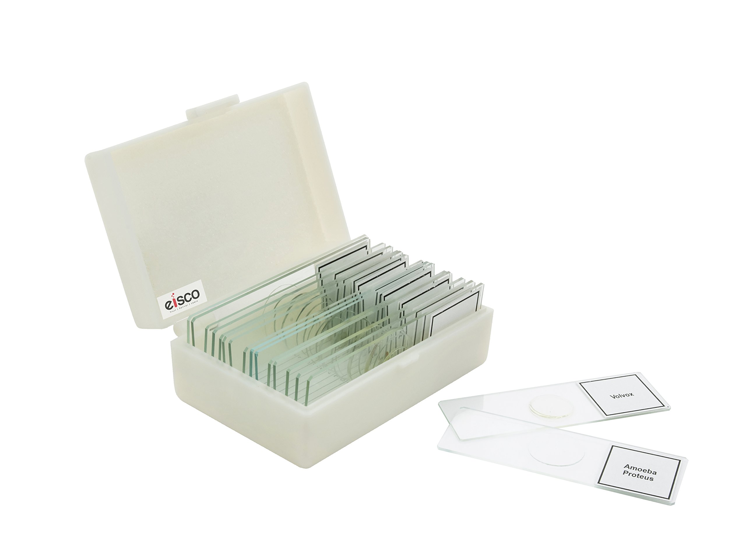 LABZIO by EISCO - Premium Microscope Prepared Slides to Observe Various Specimen, Set of 15 Slides, Comes in A Plastic Case (B079W3QCRG) Amazon Price History, Amazon Price Tracker