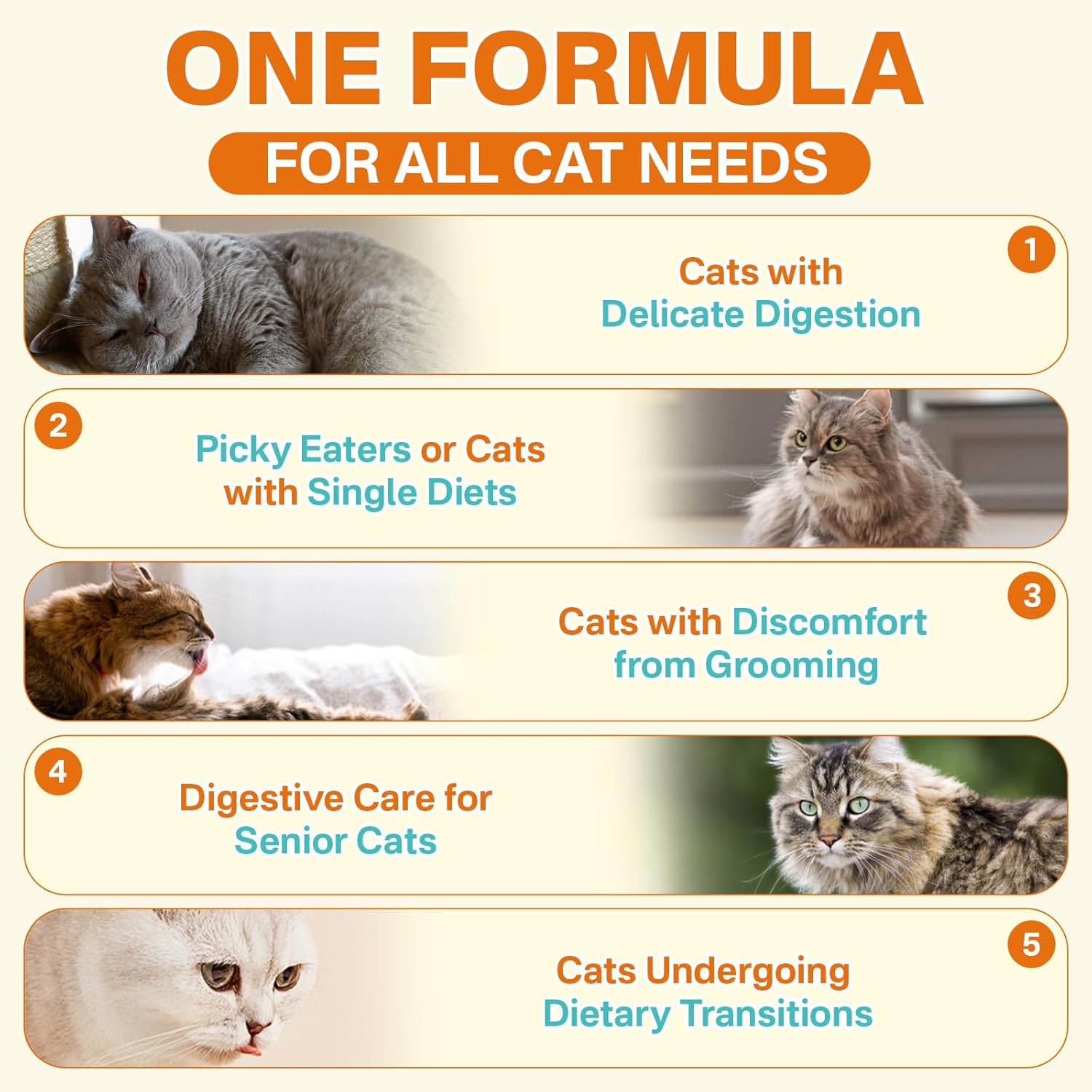 Cat Skin & Coat + Probiotics - 500 Chews Crunchy & Creamy Cheese Core with Omega-3, Vitamins C & E, Biotin for Skin Hydration - Coat Shine, Digestive & Immune Support for All Cats