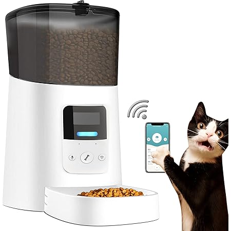 chip cat feeder